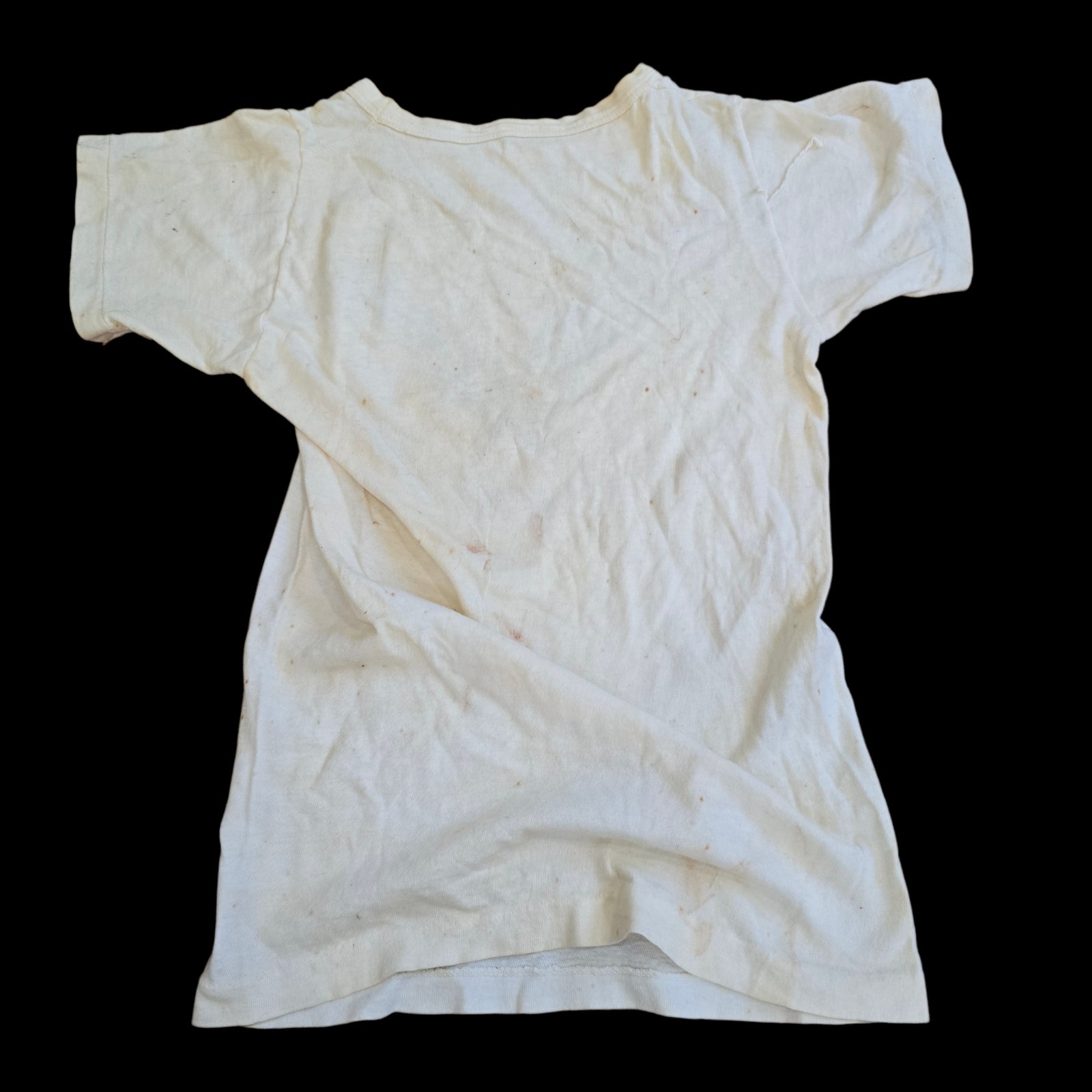 WWII US Army Air Force PT T-shirt Jamestown N. D. Original