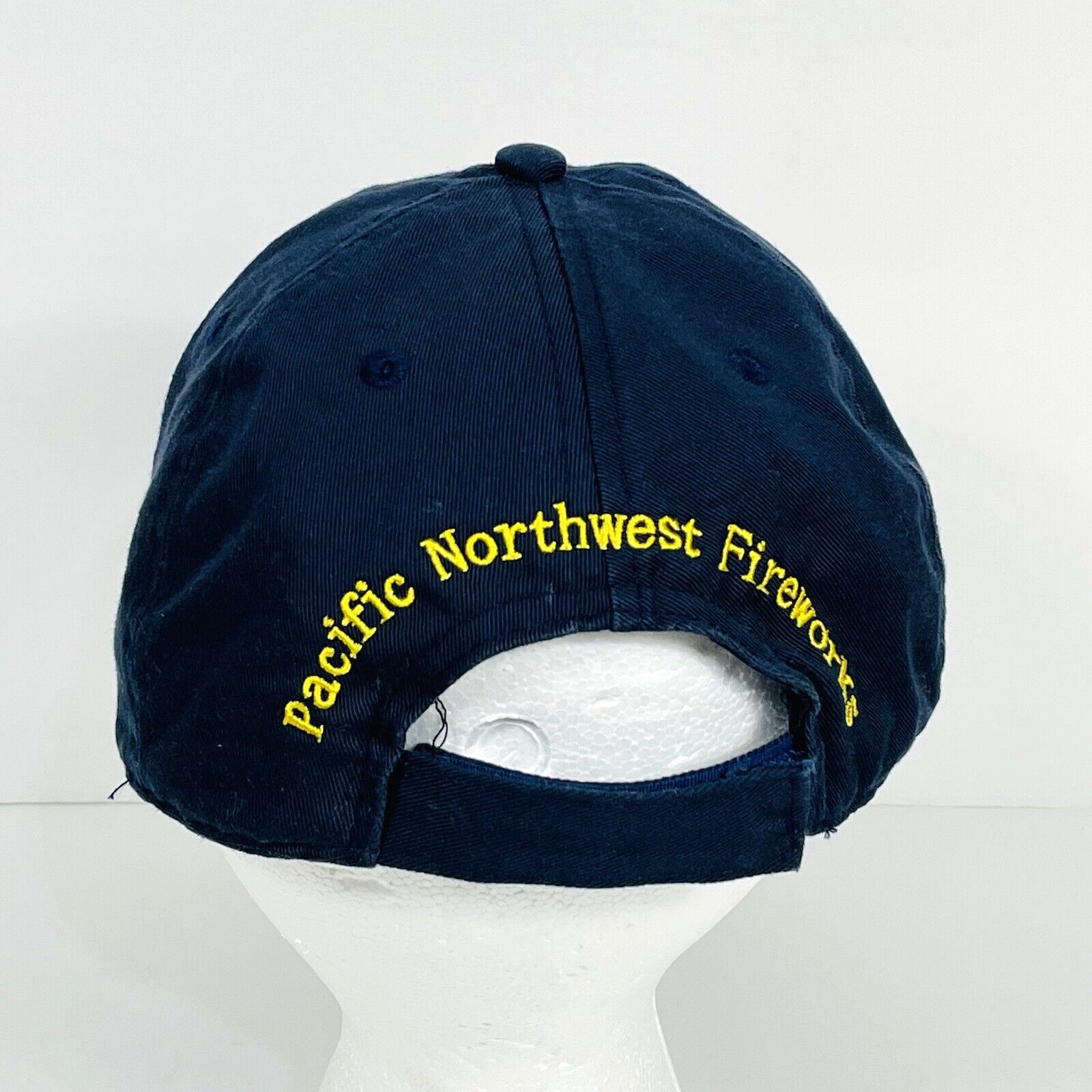Loyal To None PNW Aerial Effects Blue Souvenir Embroidered Baseball Hat Cap