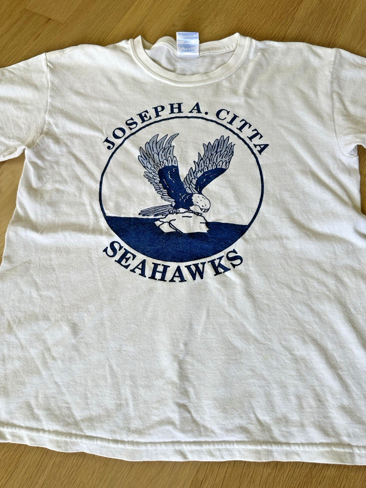 vintage SEAHAWKS elementary school MASCOT toms river NJ punk indie
