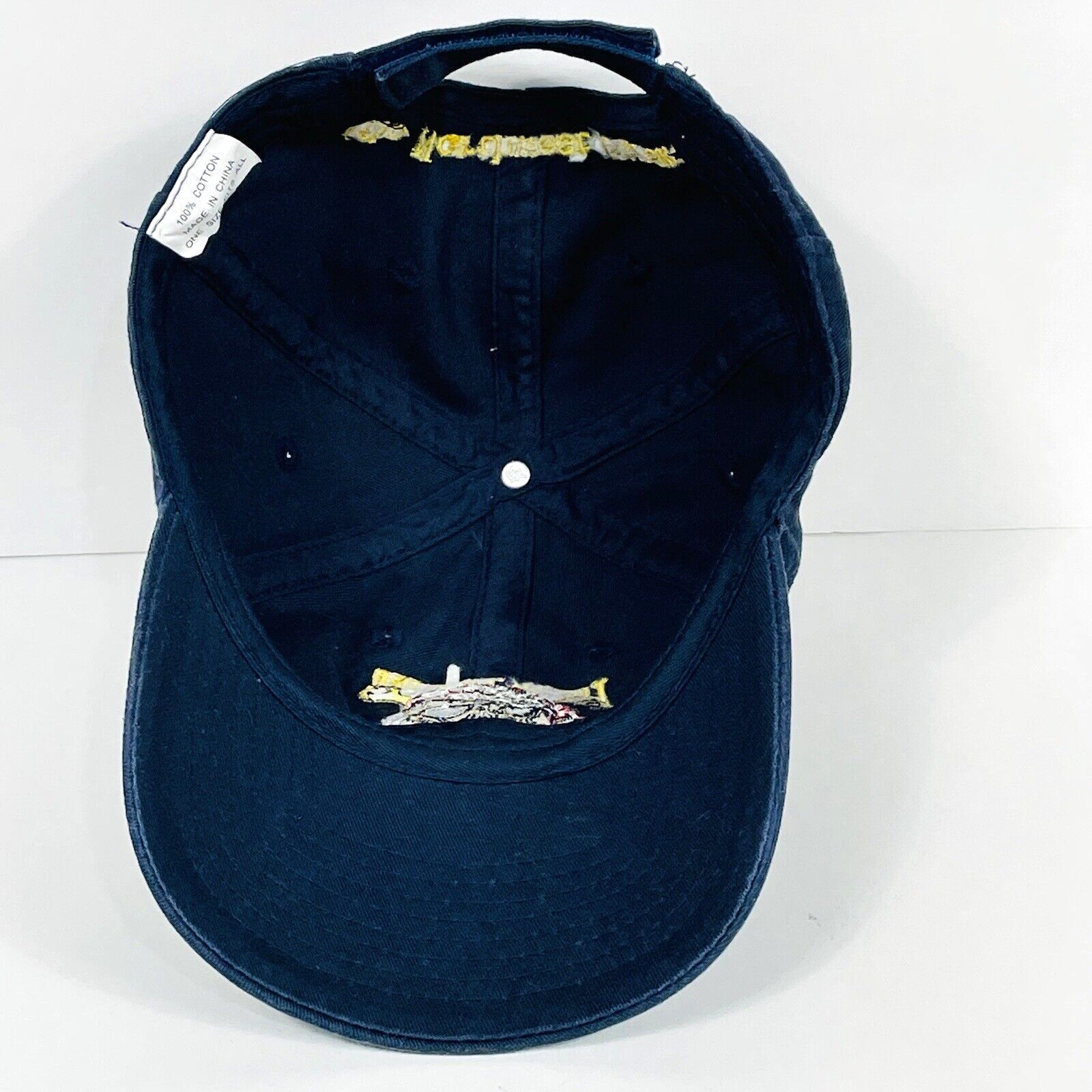 Loyal To None PNW Aerial Effects Blue Souvenir Embroidered Baseball Hat Cap