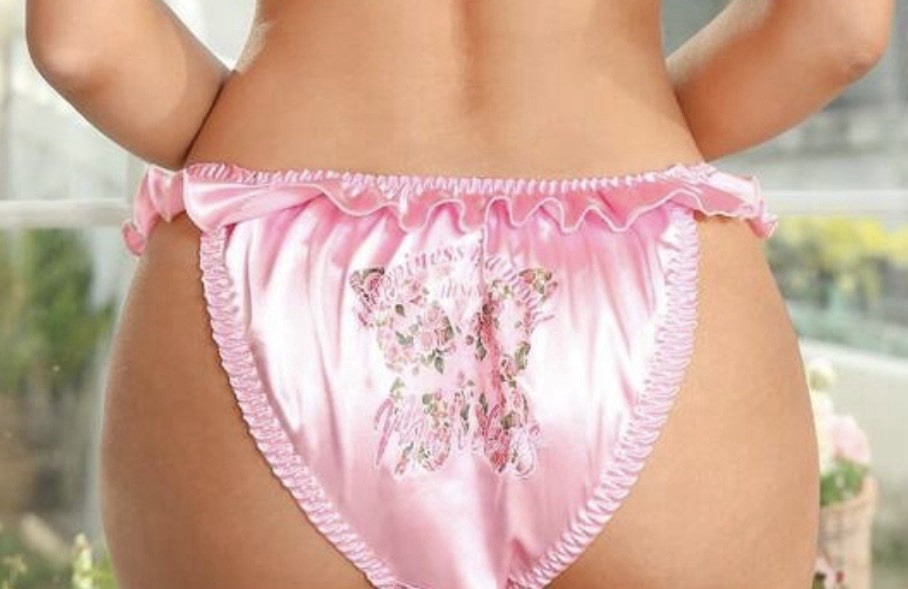 Glossy Romantic Countryside Pink Satin & Floral Bikini Brief Panties XL NEW