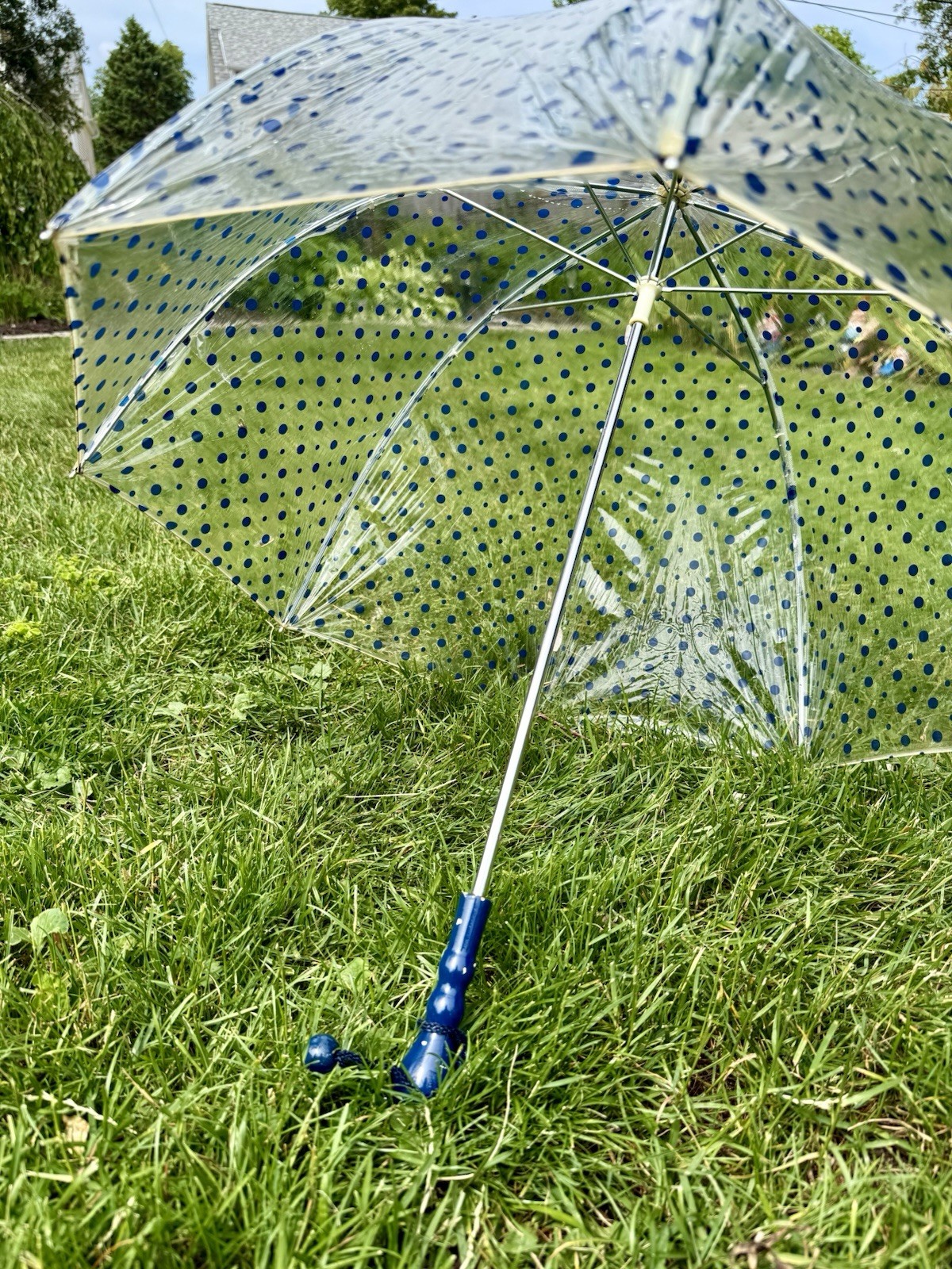 Vintage 60s Mod Clear Blue Polkadot Vinyl Bubble Top Umbrella