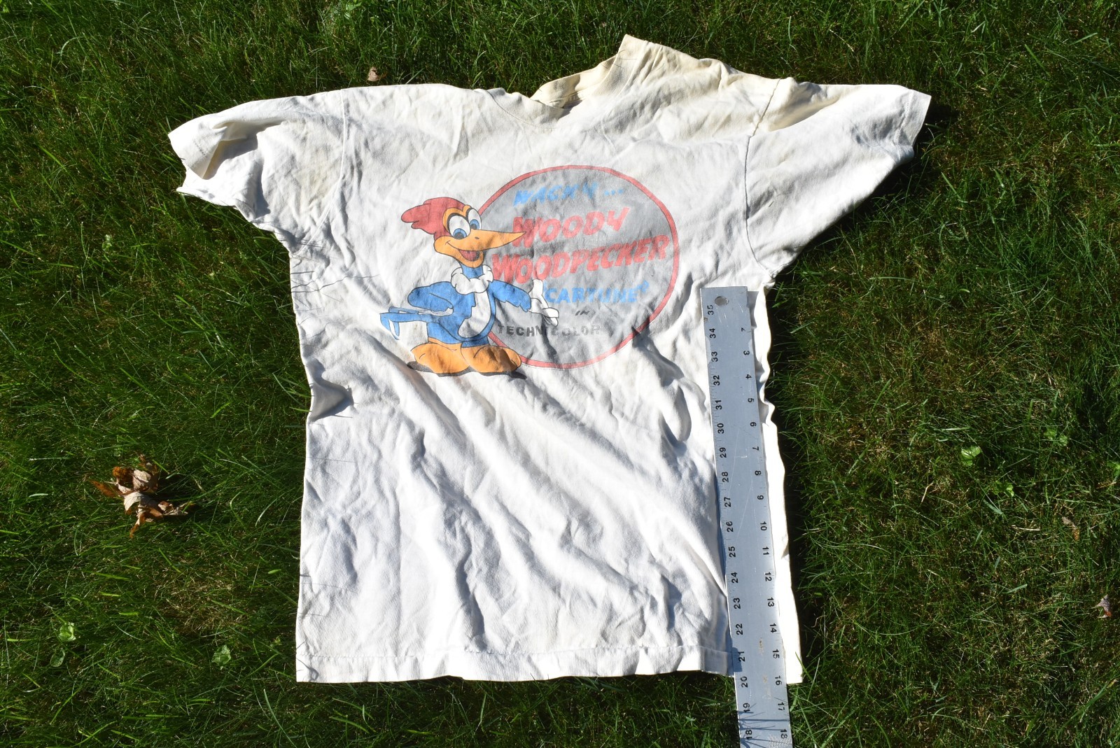 Woody Woodpecker Cartune Technicolor T-Shirt Fruit of the Loom Large Size VTG