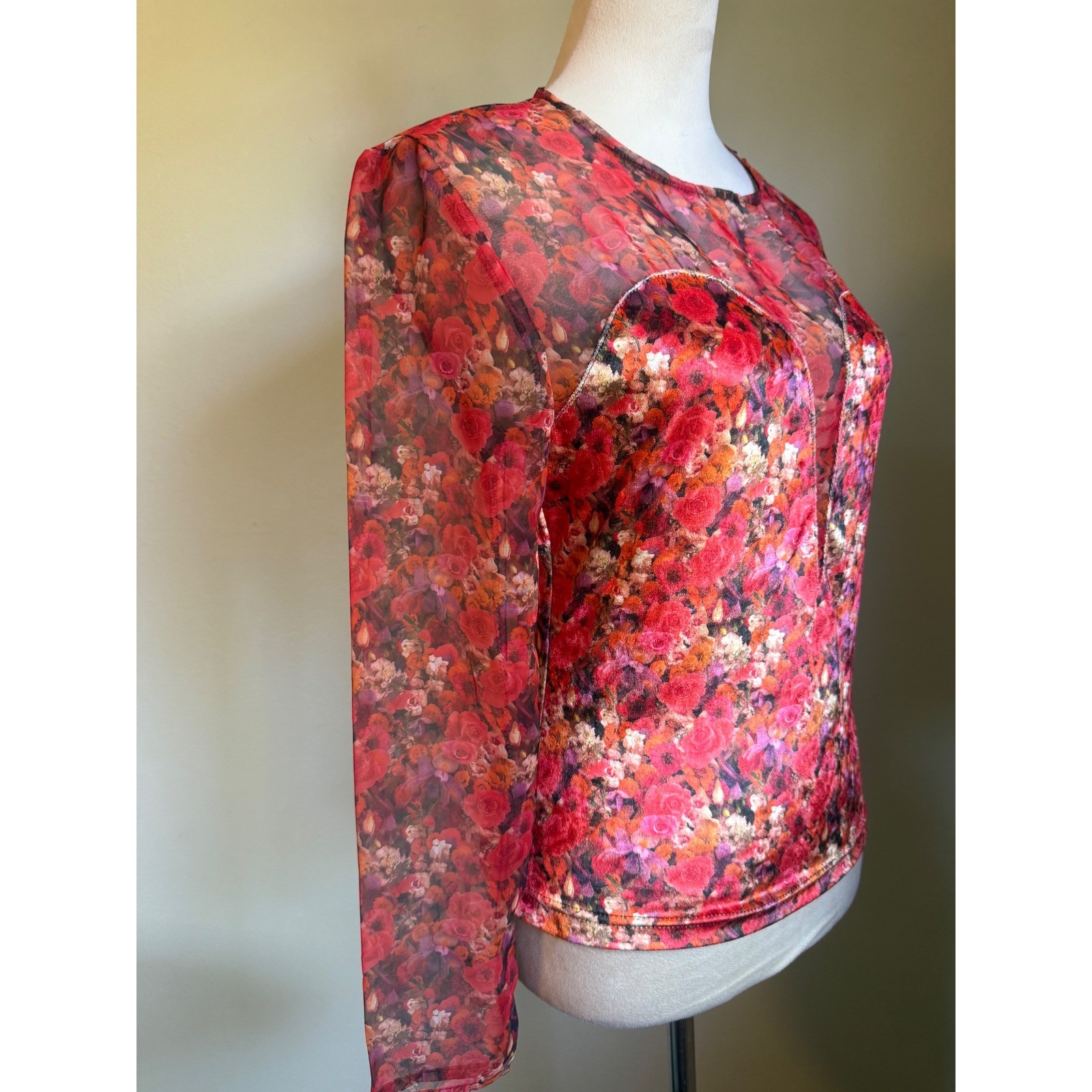 Vintage Yes Clothing Red Floral Mesh Velvet y2k whimsi boho dainty Top M NWT