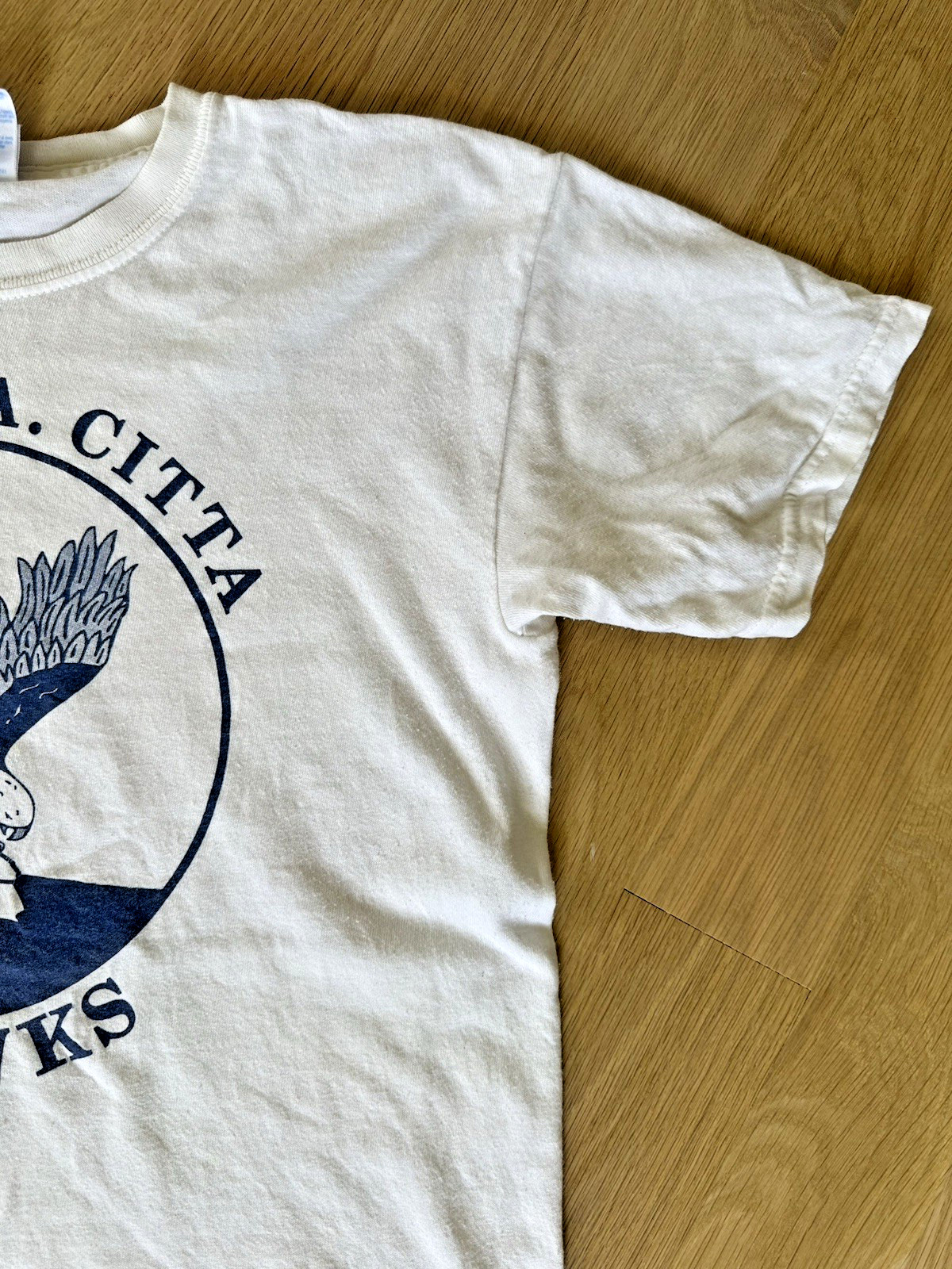 vintage SEAHAWKS elementary school MASCOT toms river NJ punk indie