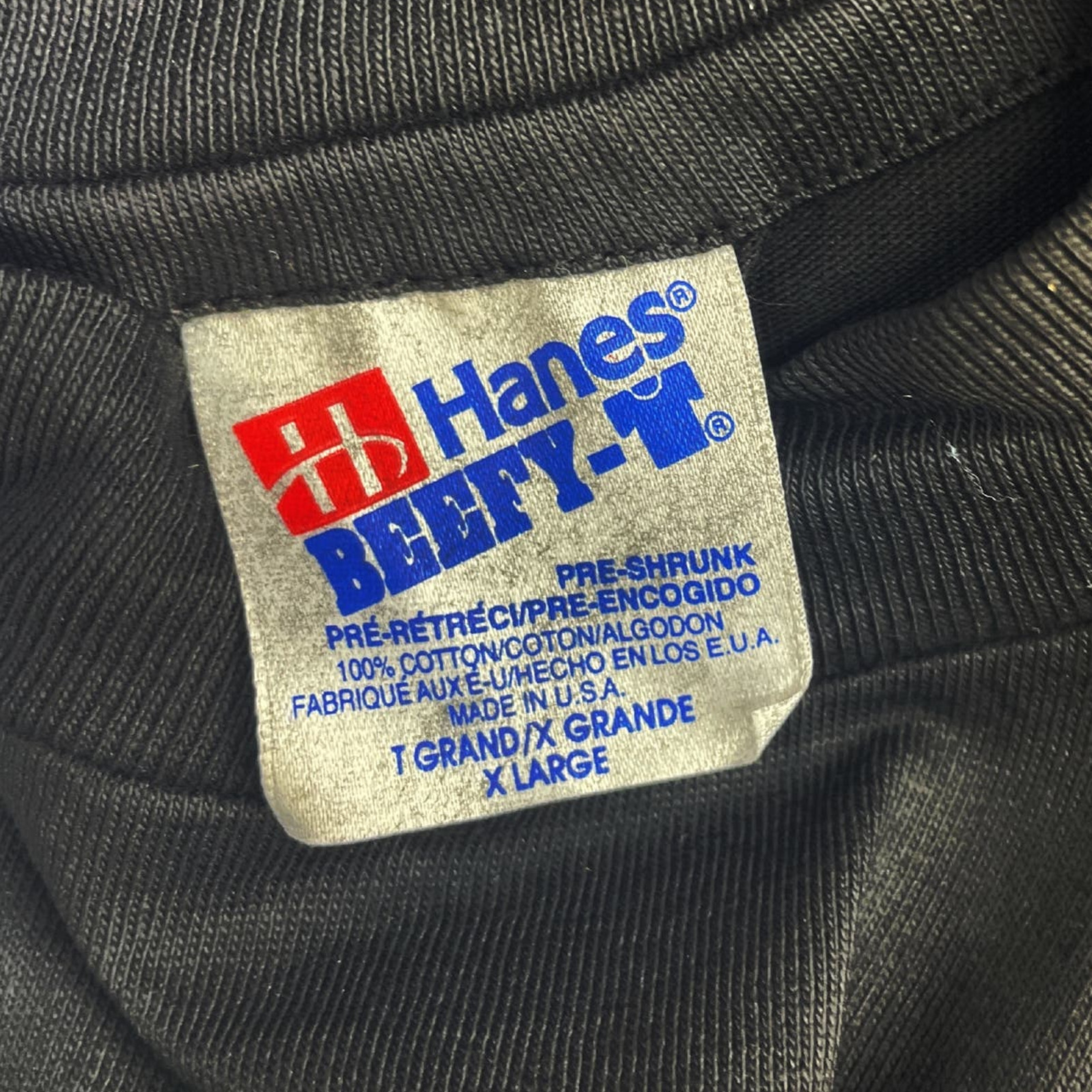 Vintage 90s APPLE Computer Rainbow Haynes Shirt Single Stitch *DRY ROT* MED