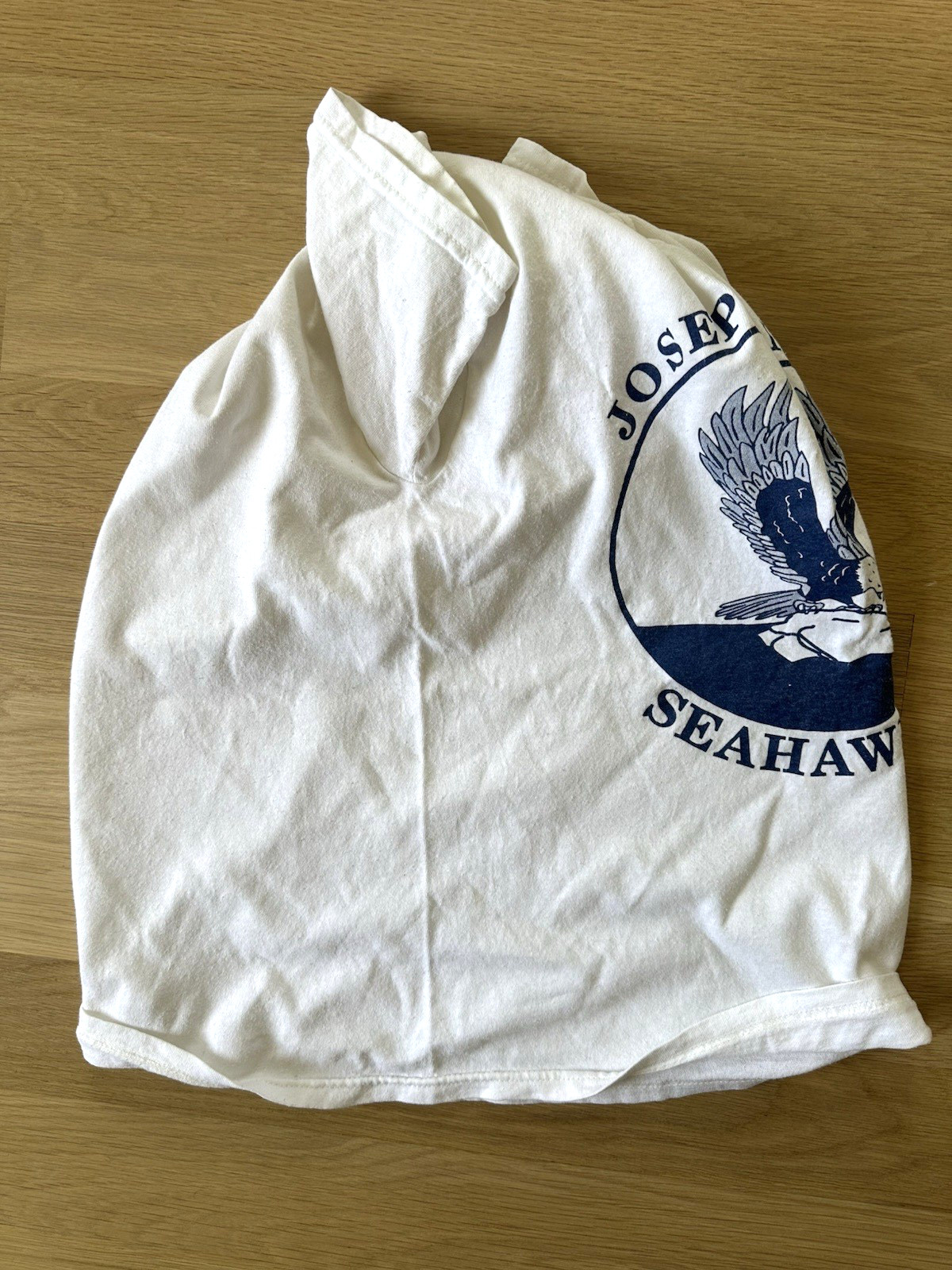 vintage SEAHAWKS elementary school MASCOT toms river NJ punk indie