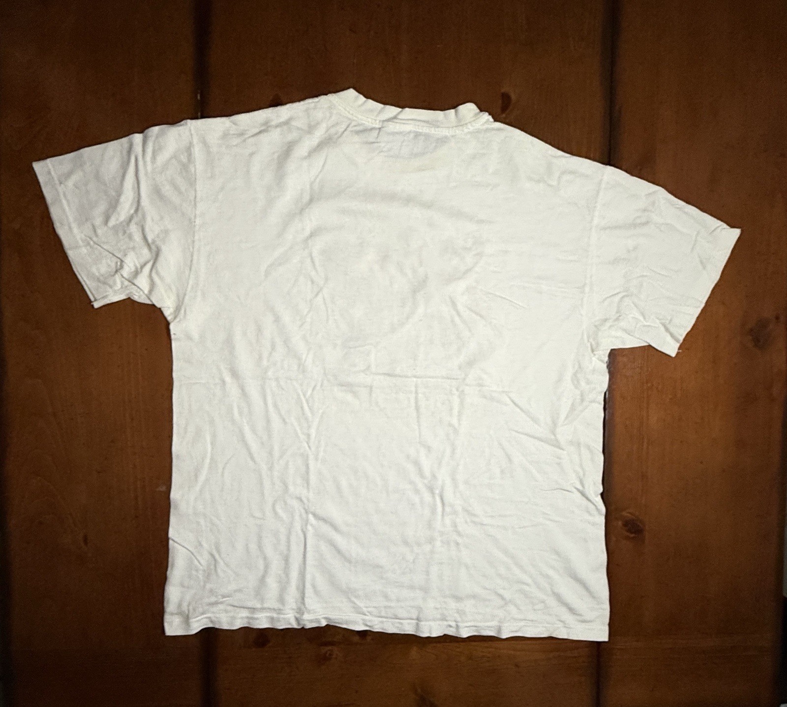 Vintage 90’s Kid’s In The Hall Brain Candy T Shirt 1996 Promotional XL Hanes