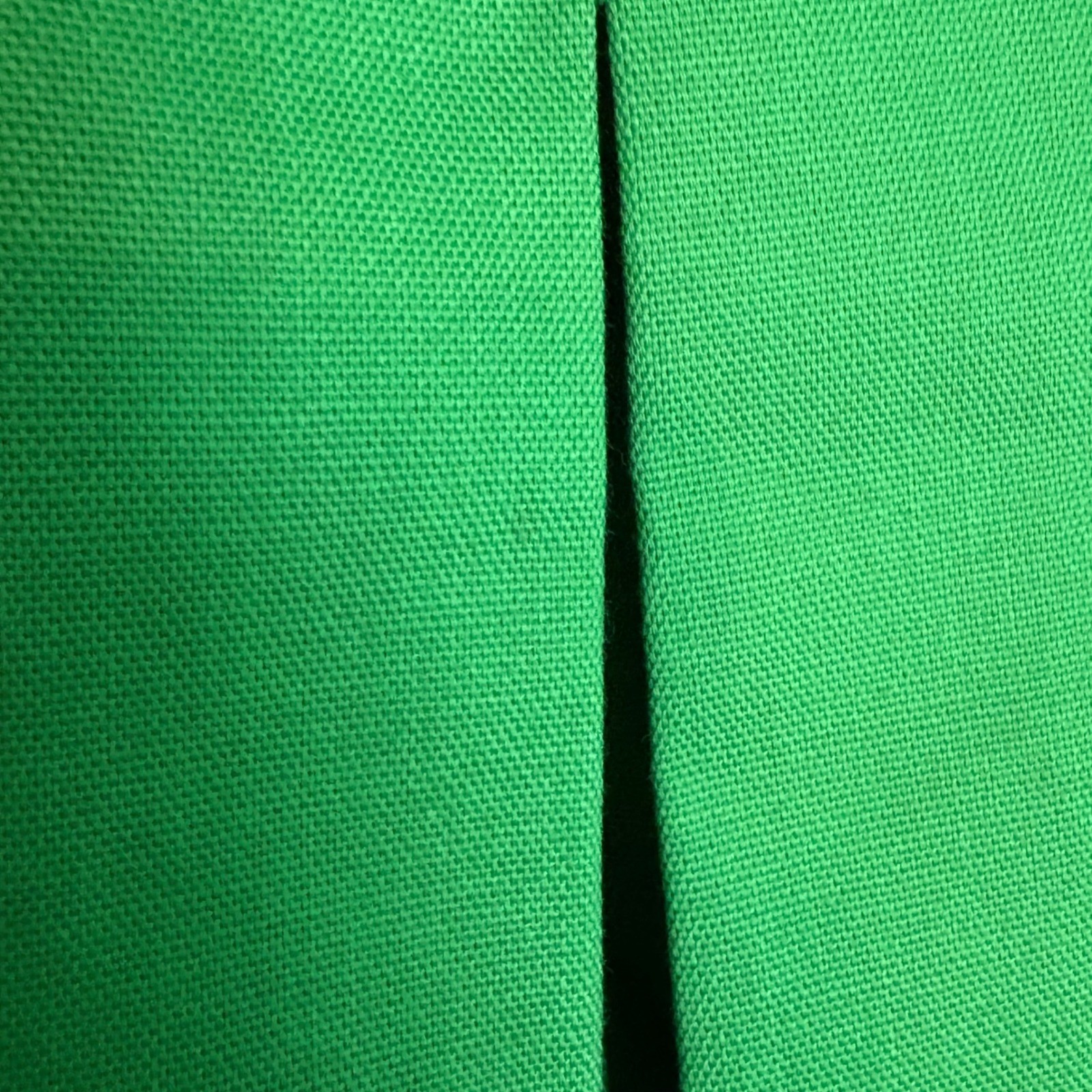 Vintage Gator of Florida Brand Green Pleated Resort Wear Shorts sz12