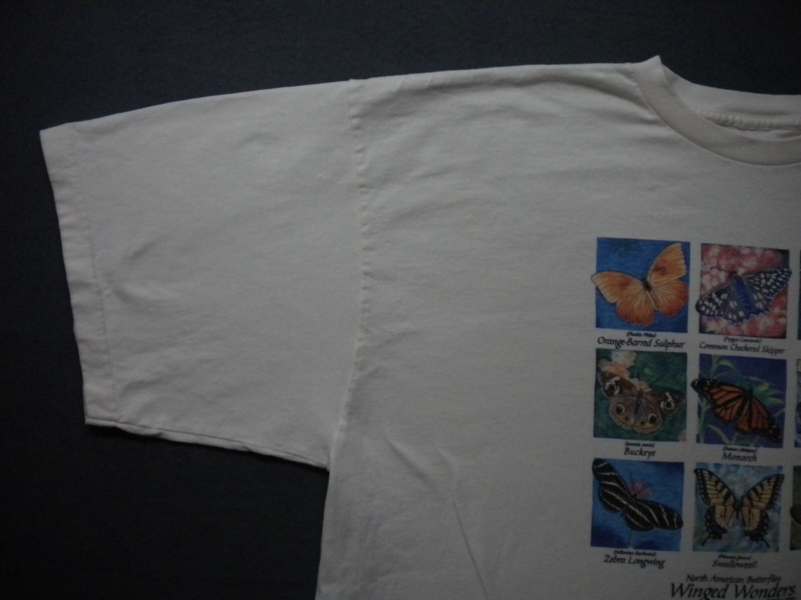 Vintage 1998 Winged Wonders North American Butterflies T Shirt 90s Nature L XL ?