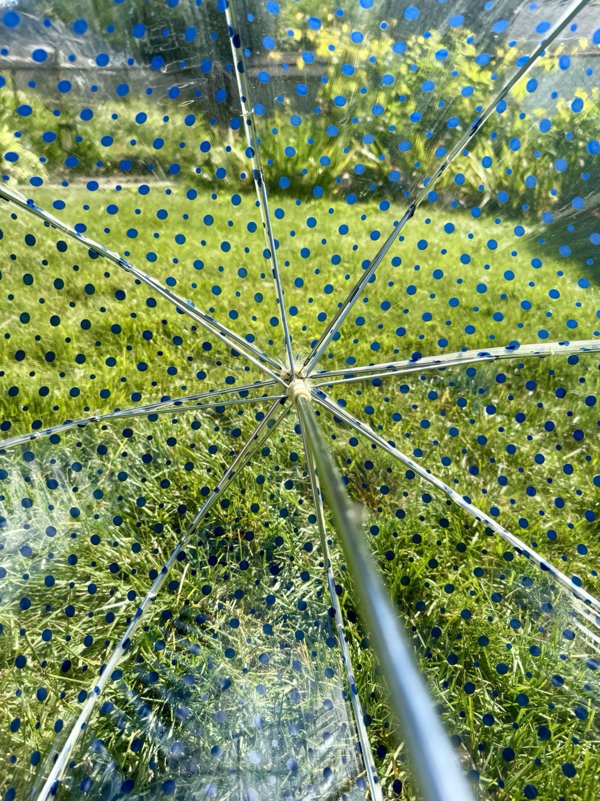 Vintage 60s Mod Clear Blue Polkadot Vinyl Bubble Top Umbrella