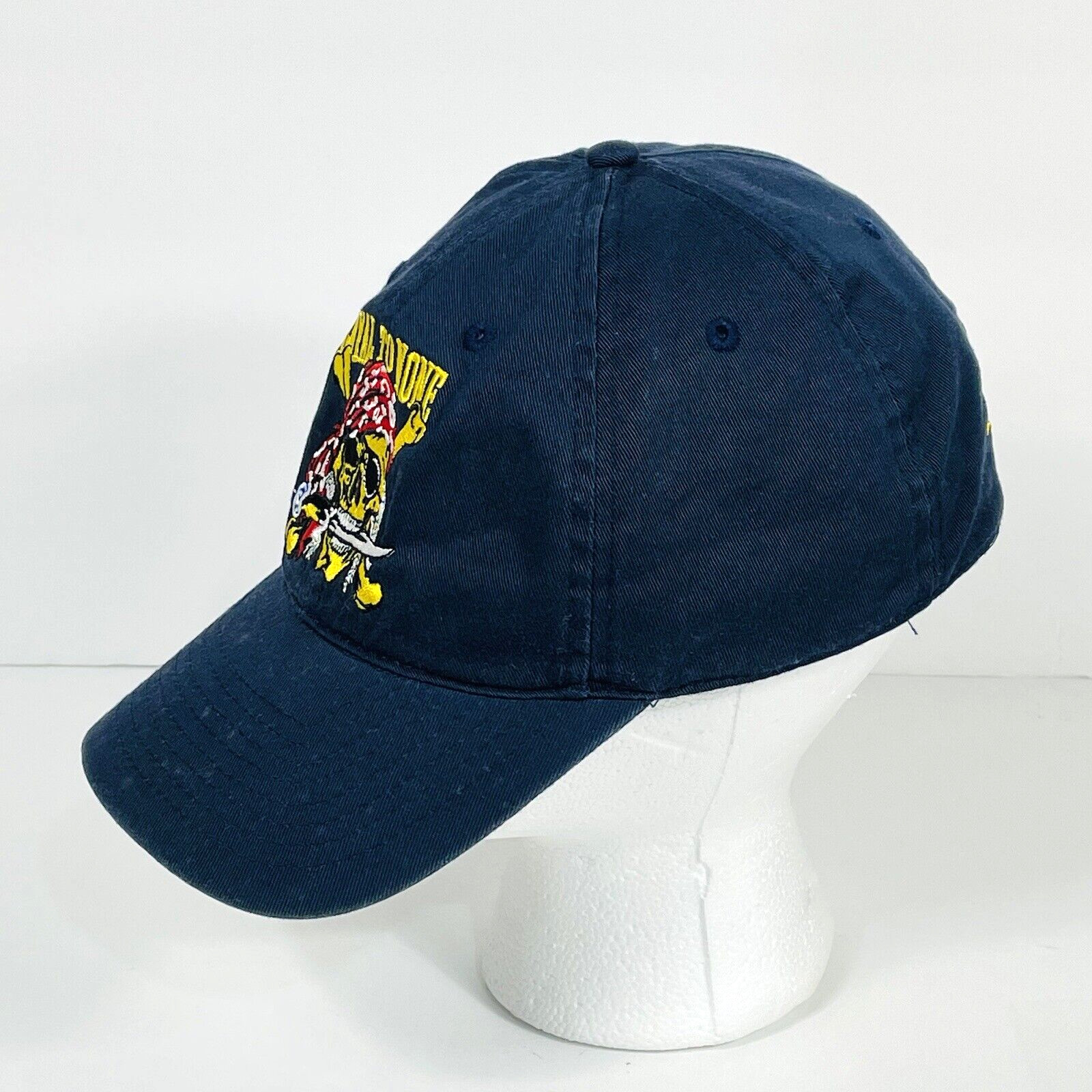 Loyal To None PNW Aerial Effects Blue Souvenir Embroidered Baseball Hat Cap