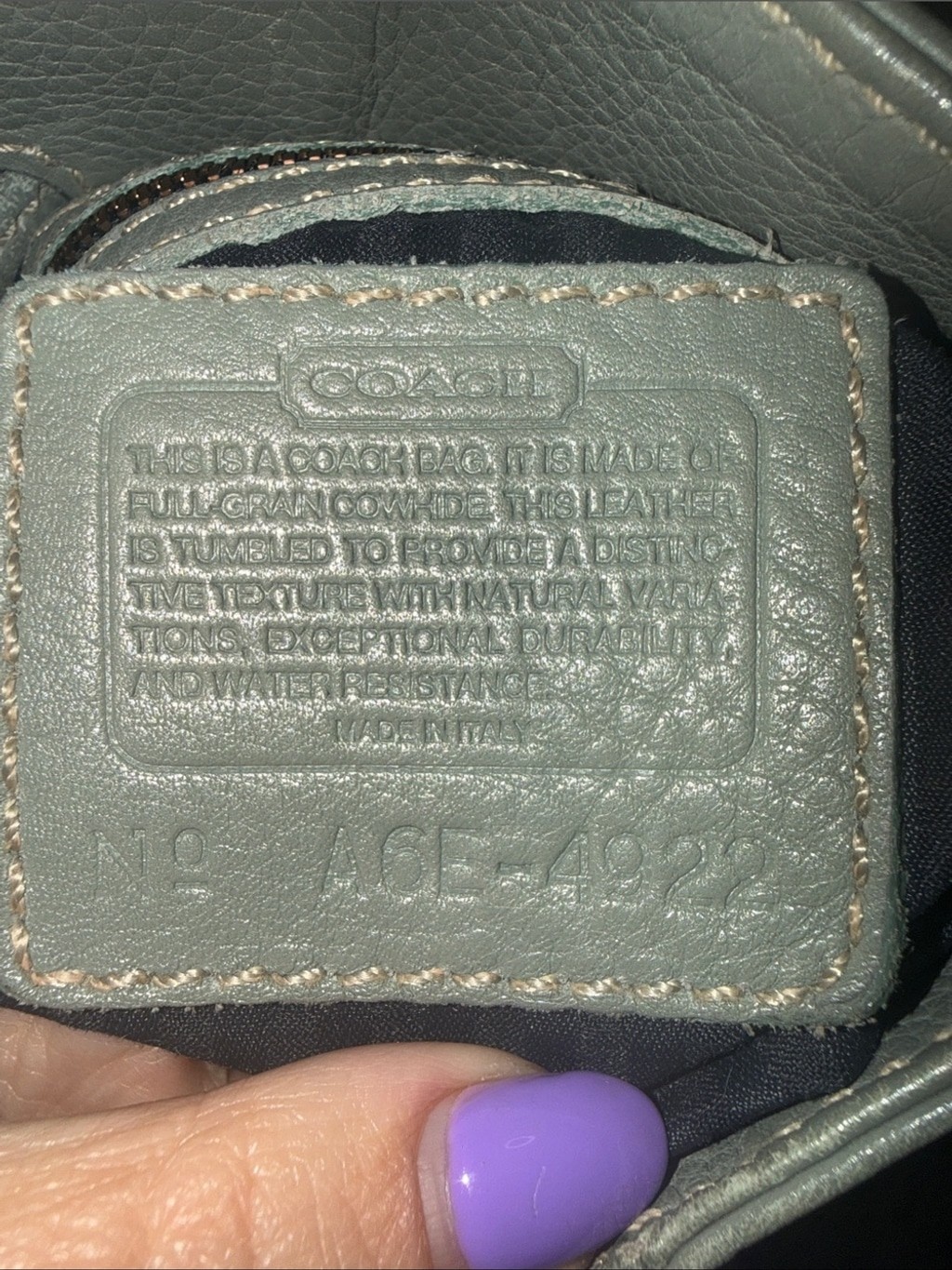 Coach Sonoma Vintage Natural Grain Sling Bag Pebbled Leather Made in Italy