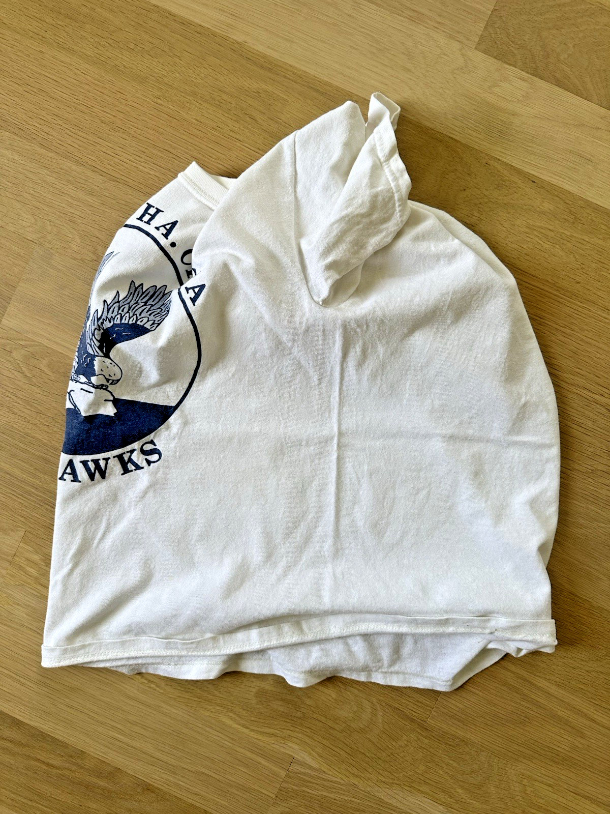 vintage SEAHAWKS elementary school MASCOT toms river NJ punk indie