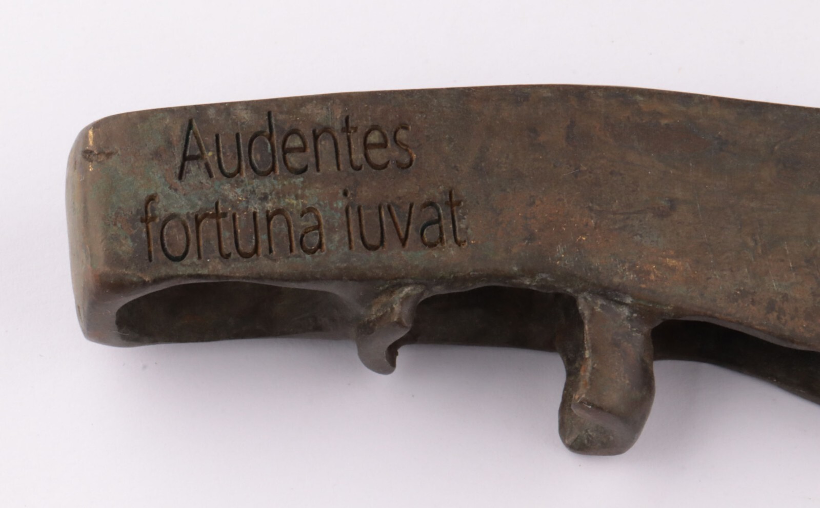 Fortune favors the bold Ax Viking head Dragon handle cane stick Latin text Auden