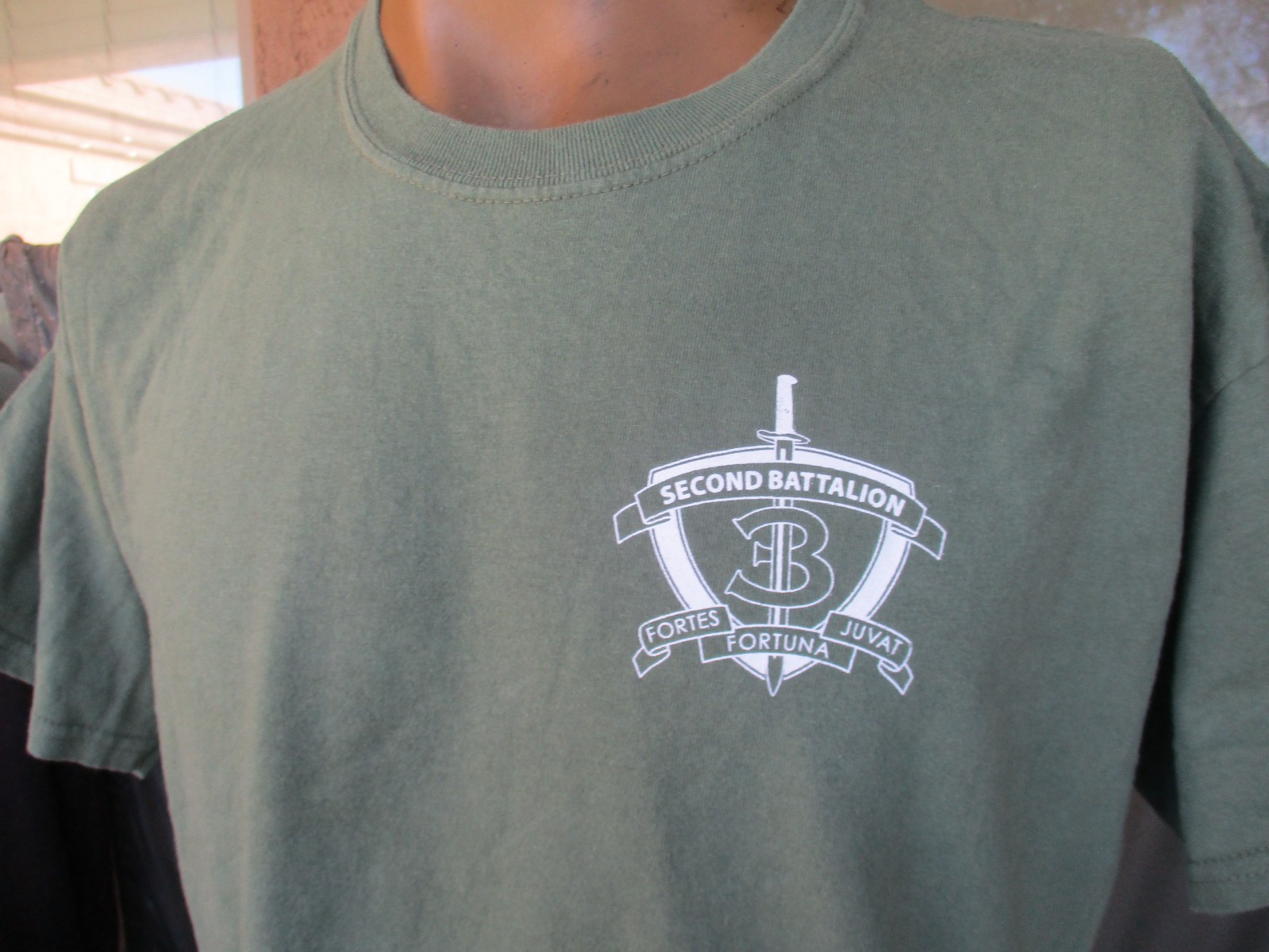 2/3 Marines, USMC, HELL ON WHEELS, CAAT 2 RAGERS Unit PT T-Shirt #1