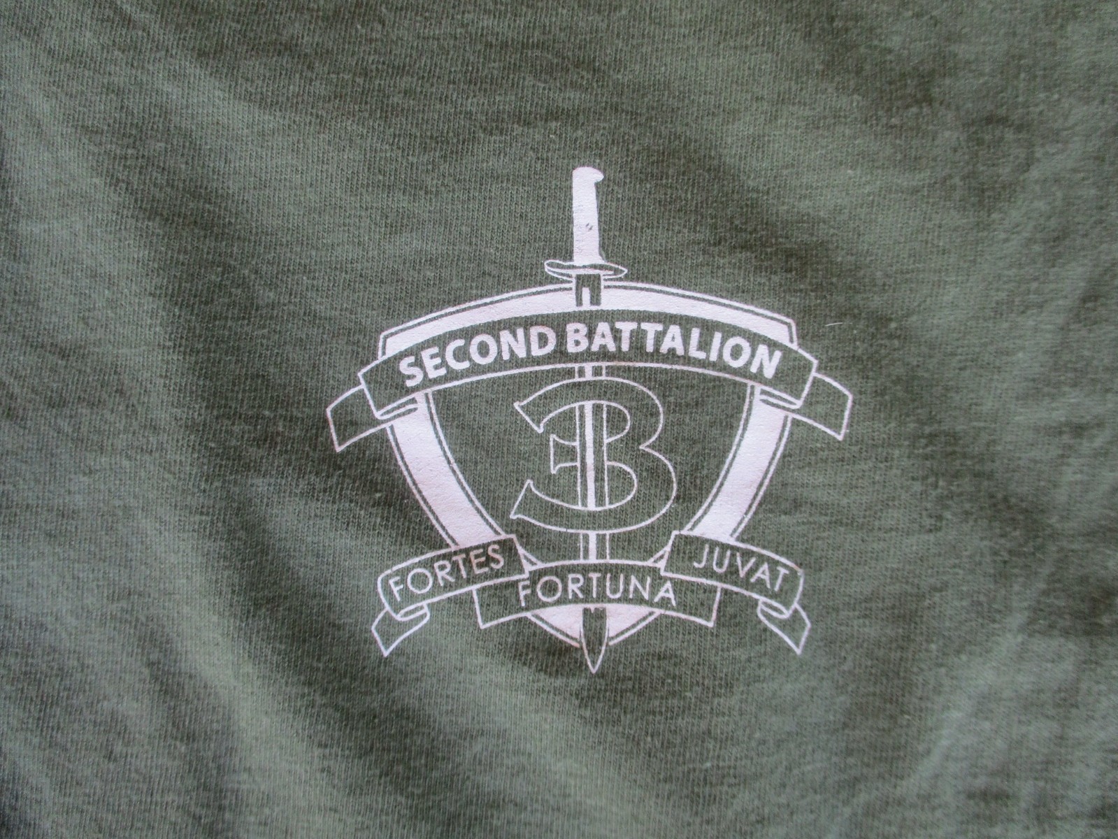 2/3 Marines, USMC, HELL ON WHEELS, CAAT 2 RAGERS Unit PT T-Shirt #1
