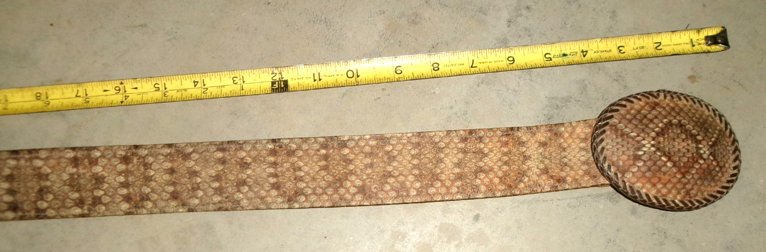 vintage Genuine Rattlesnake Stitched Belt & Buckle 45” Long