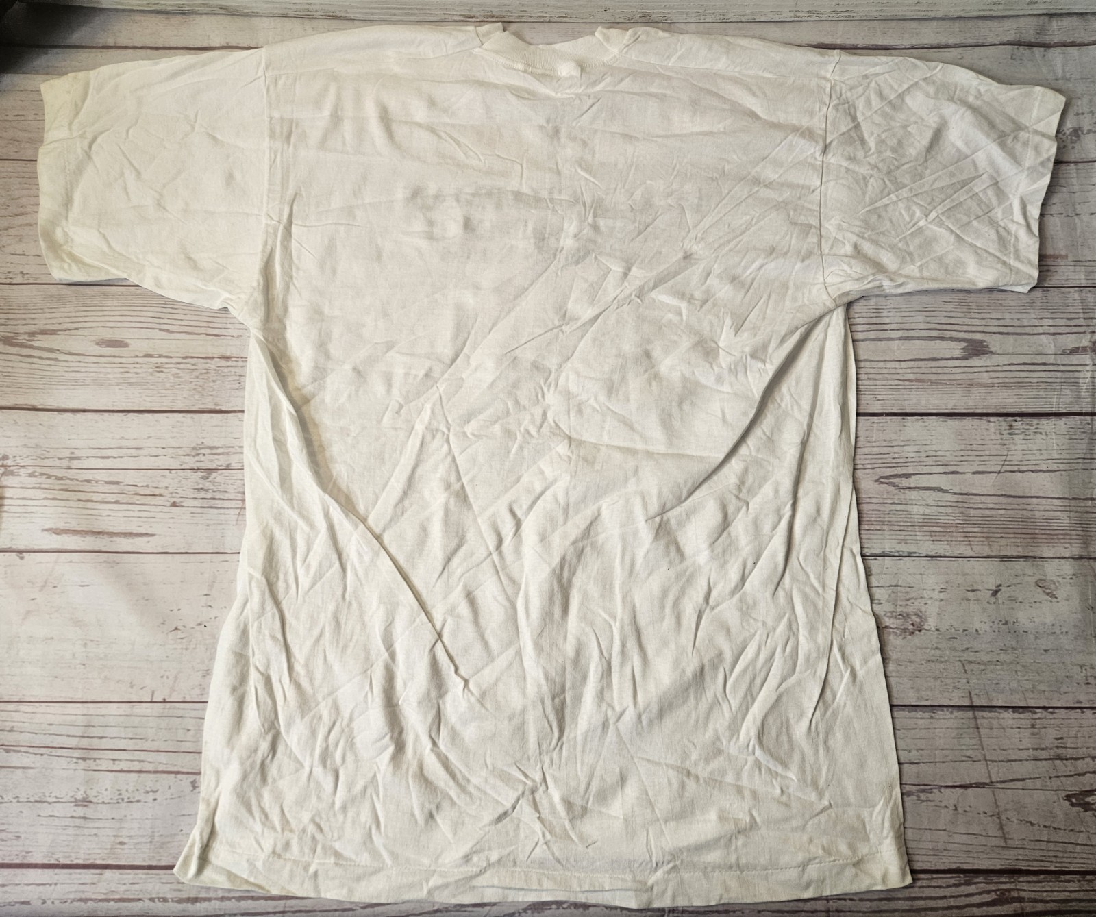 Tracy Chapman 1996 “New Beginning” Tour Crew Shirt Screen Stars Tag XL