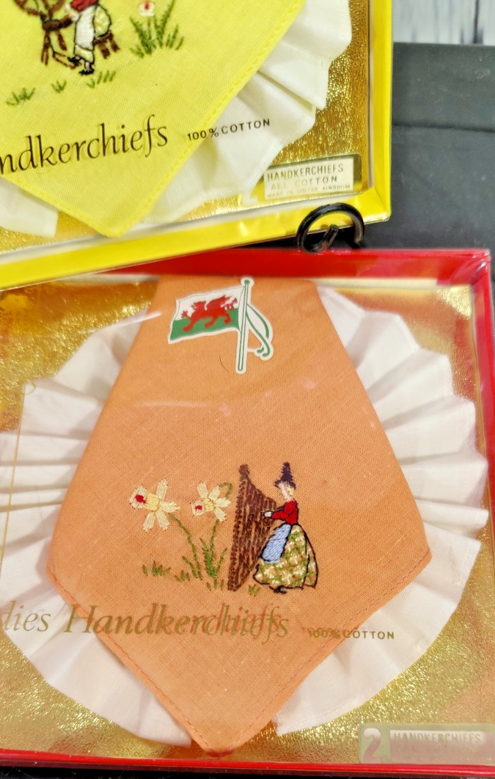 Set of Two Vintage Hand Embroidered 100% Cotton Handkerchiefs United Kingdom