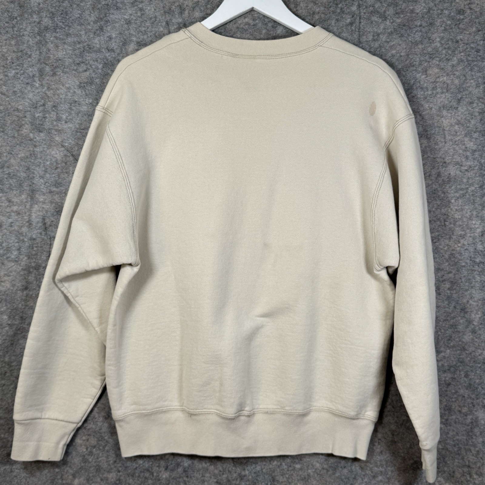 Vintage Bearded Dragon Lizard Sweatshirt Mens Size L 20×26 Beige Reptile