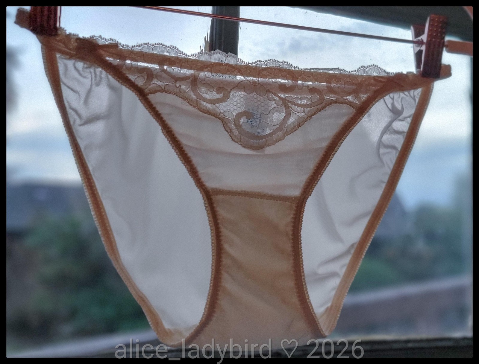 Vintage MAIDENFORM Sweet Nothings PANTY String Bikini BRIEF Chantilly LACE S/5