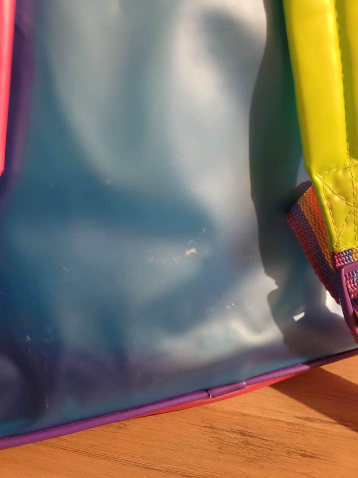 VTG Lisa Frank Backpack Plastic PVC See Thru 90’s Dolphin Music Notes Rainbow