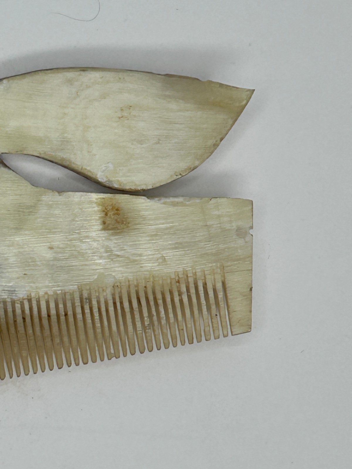 Antique 1800’s Carved Victorian Fine Hair Comb Peacock Antique