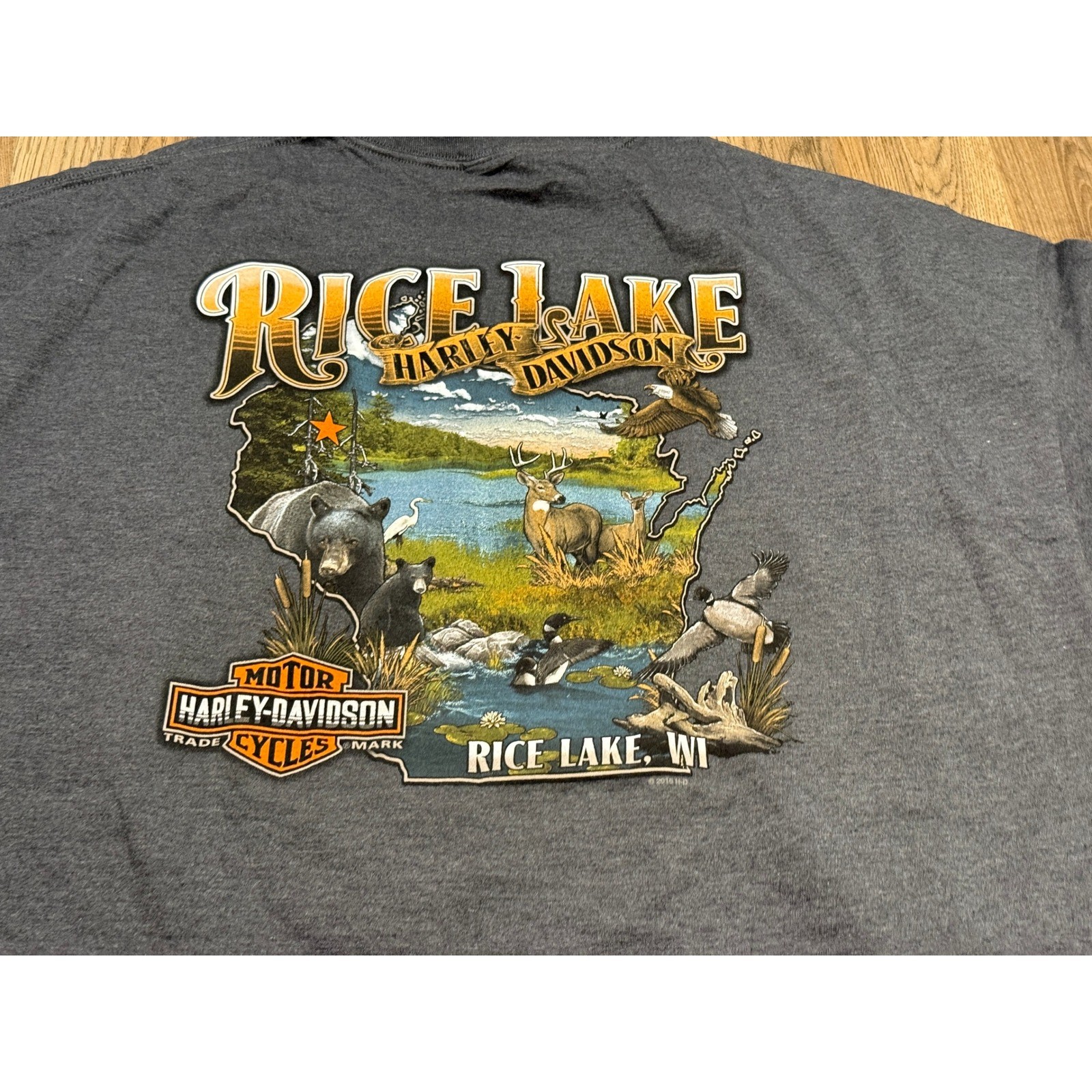 Harley Davidson Motorcycle Shirt Men’s Size 4XL Rice Lake WI Graphic Print