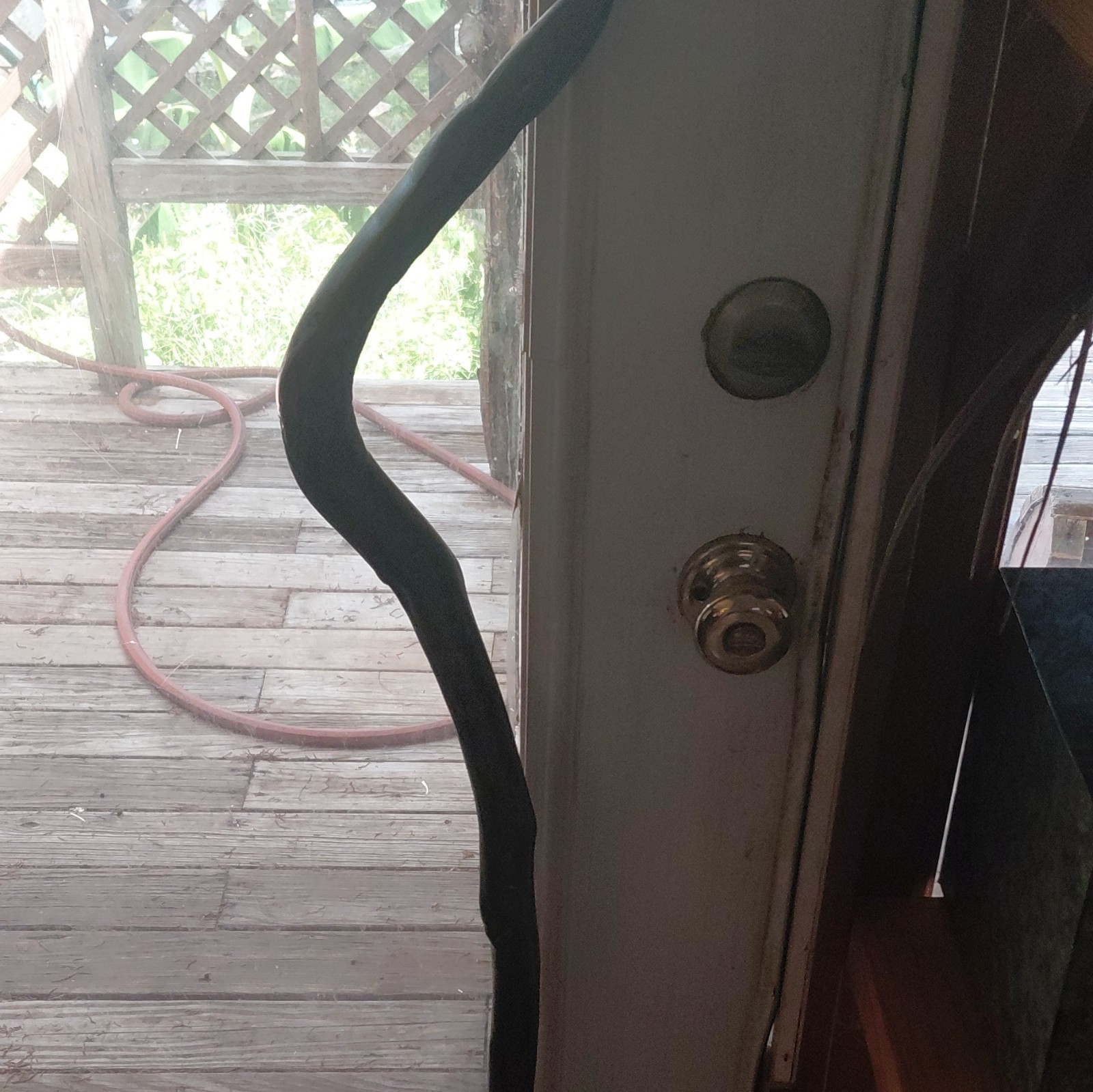 Handmade Black Wooden Walking Stick Cane, Adult Hand Carved Snake Head