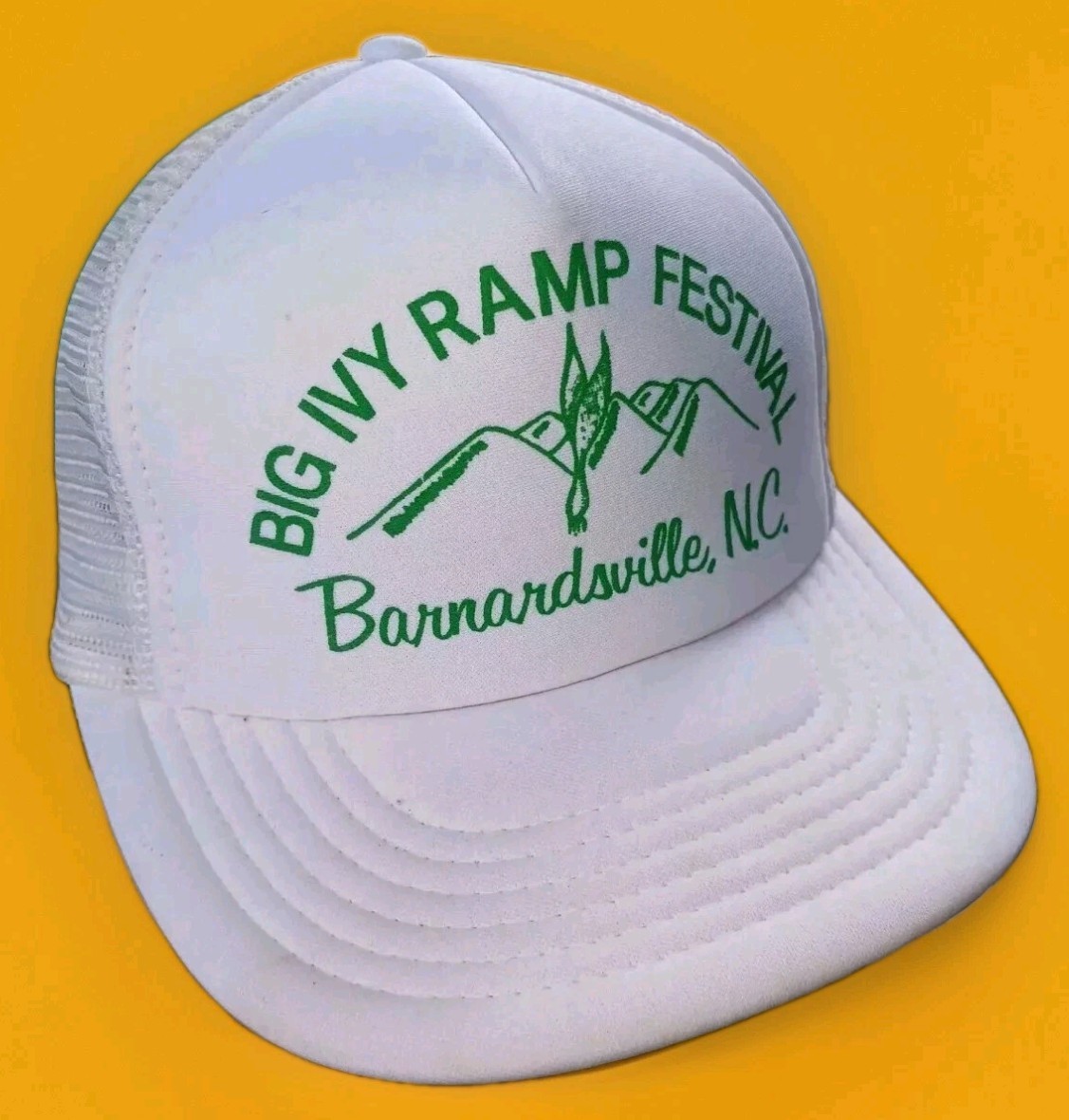 Big Ivy Ramp Festival Barnardsville NC Trucker Hat Cap Snapback Mesh