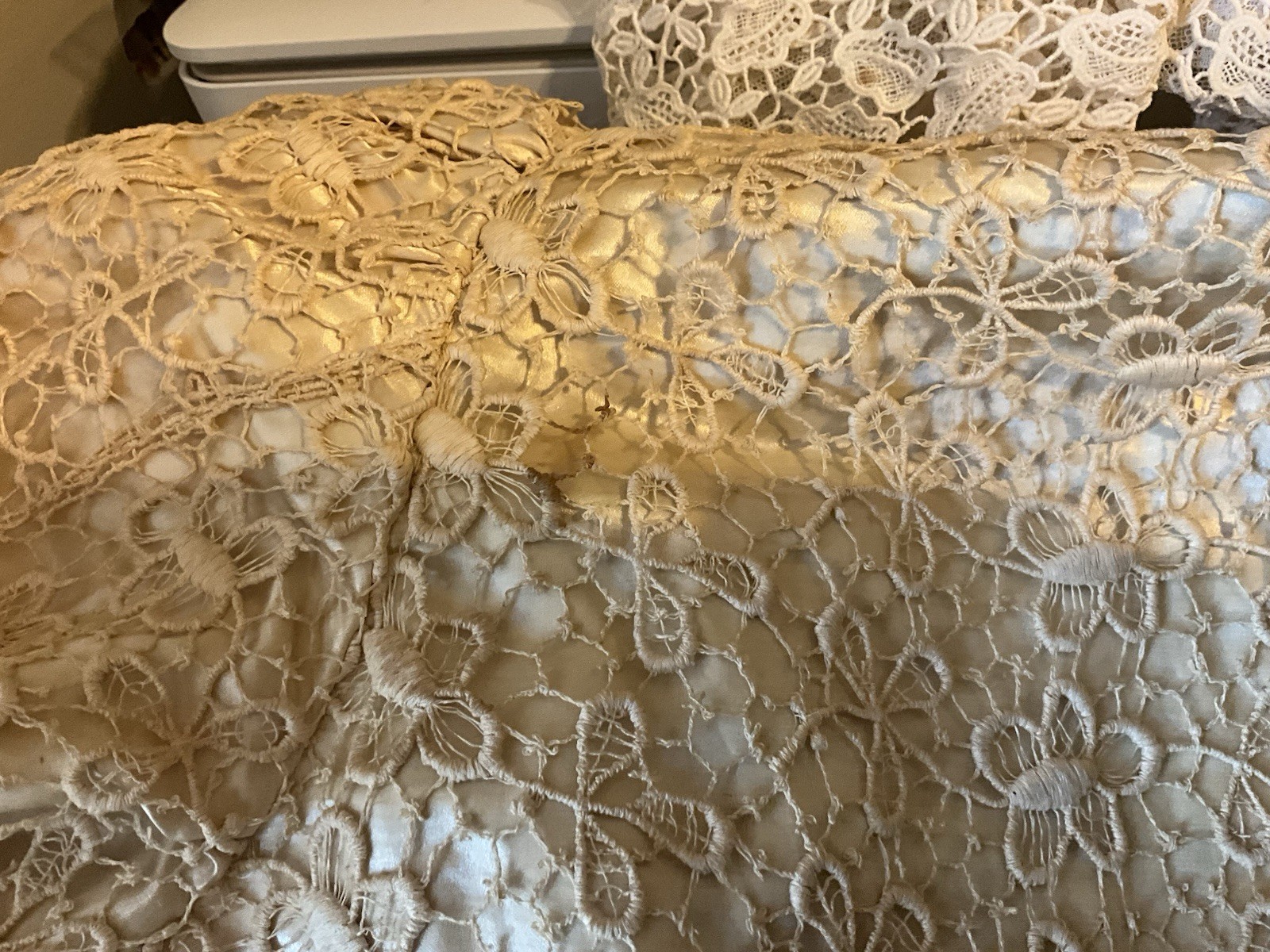 RARE 1920s MOST ORNATE LADIES GARDEN OPERA EDWARDIAN LACE SILK COAT AMAZING