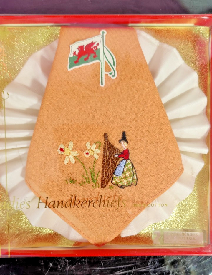 Set of Two Vintage Hand Embroidered 100% Cotton Handkerchiefs United Kingdom