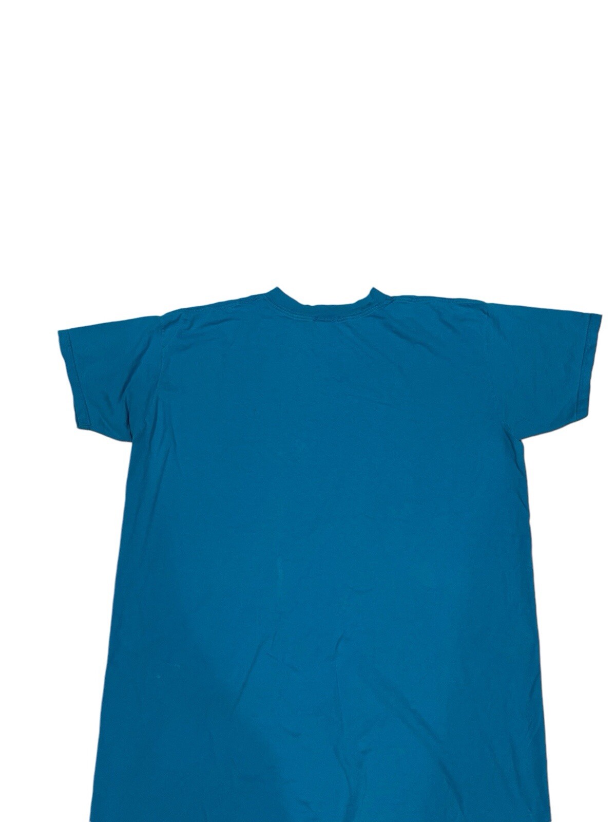 Looney Tunes Tweety Bird Vintage T Shirt Blue Unisex Adults One Size GUC