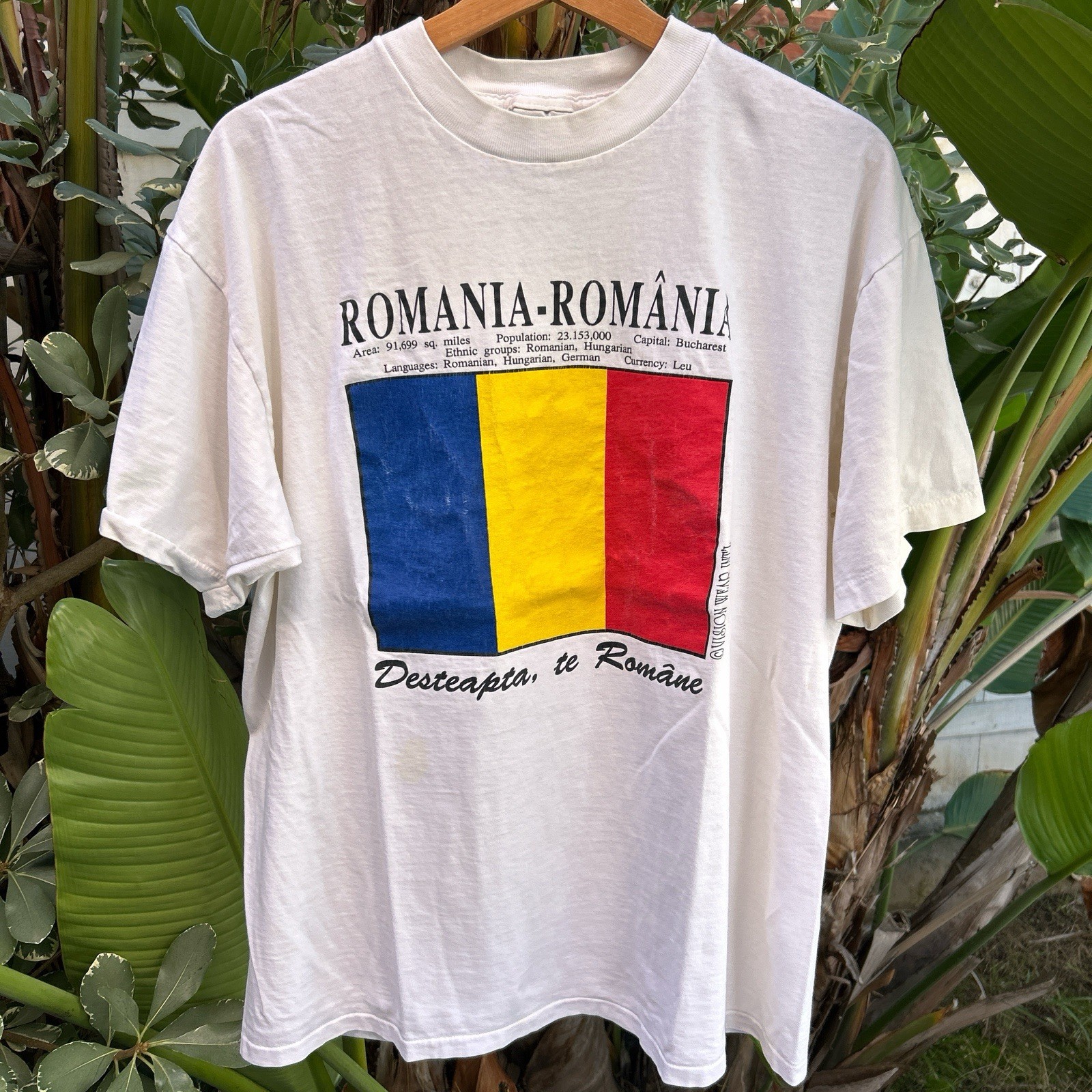 Vintage 1990s Romania Flag Graphic Tee Oneita Power-T USA XL
