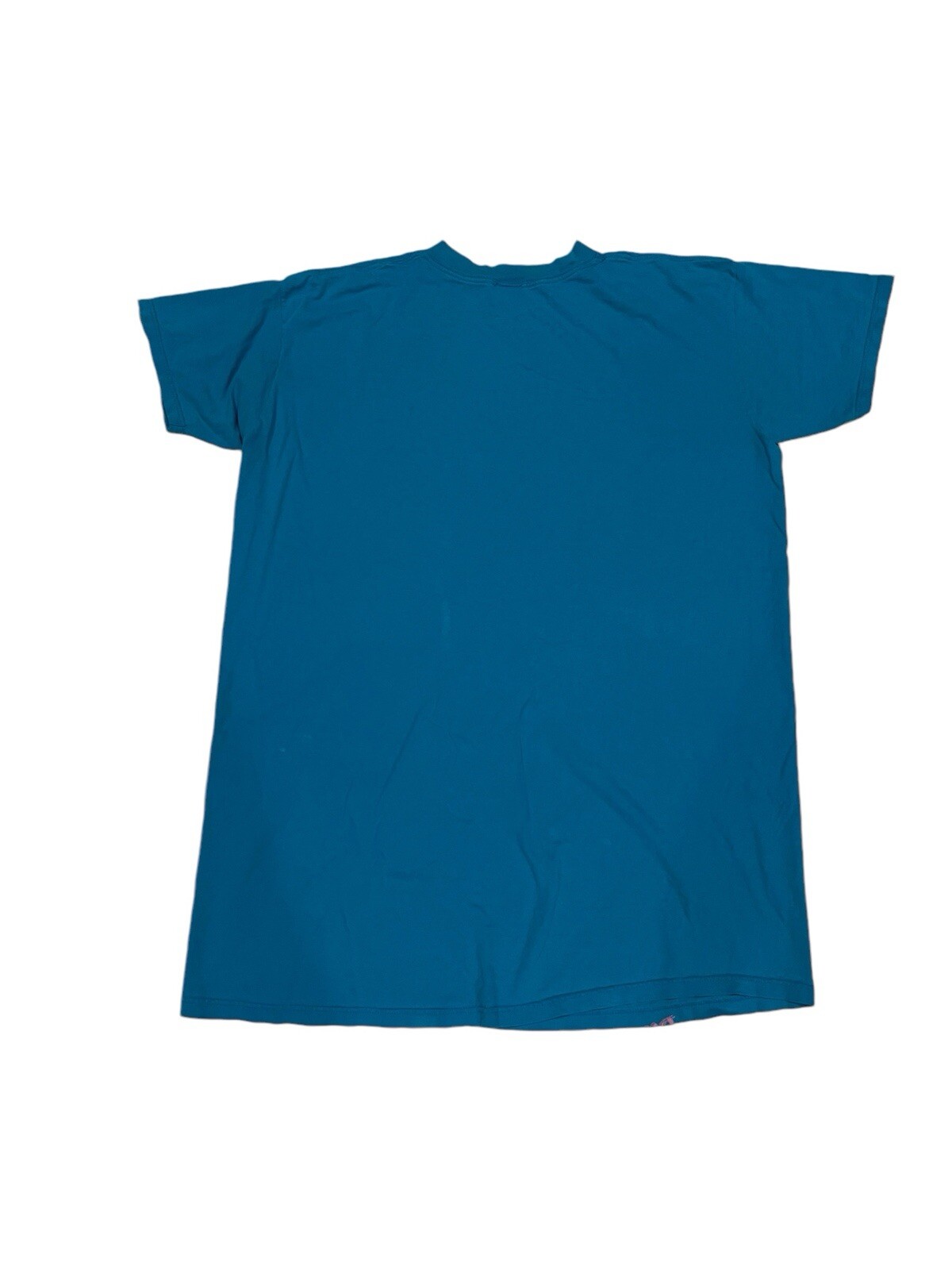 Looney Tunes Tweety Bird Vintage T Shirt Blue Unisex Adults One Size GUC