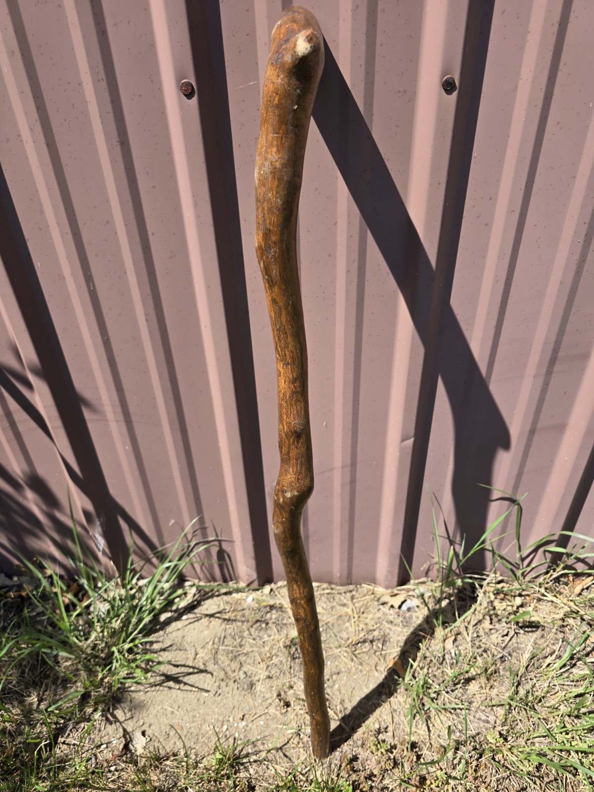 Rustic Natural Wood Walking Cane Crook Handle Walking Stick 33″ Beautiful Grain