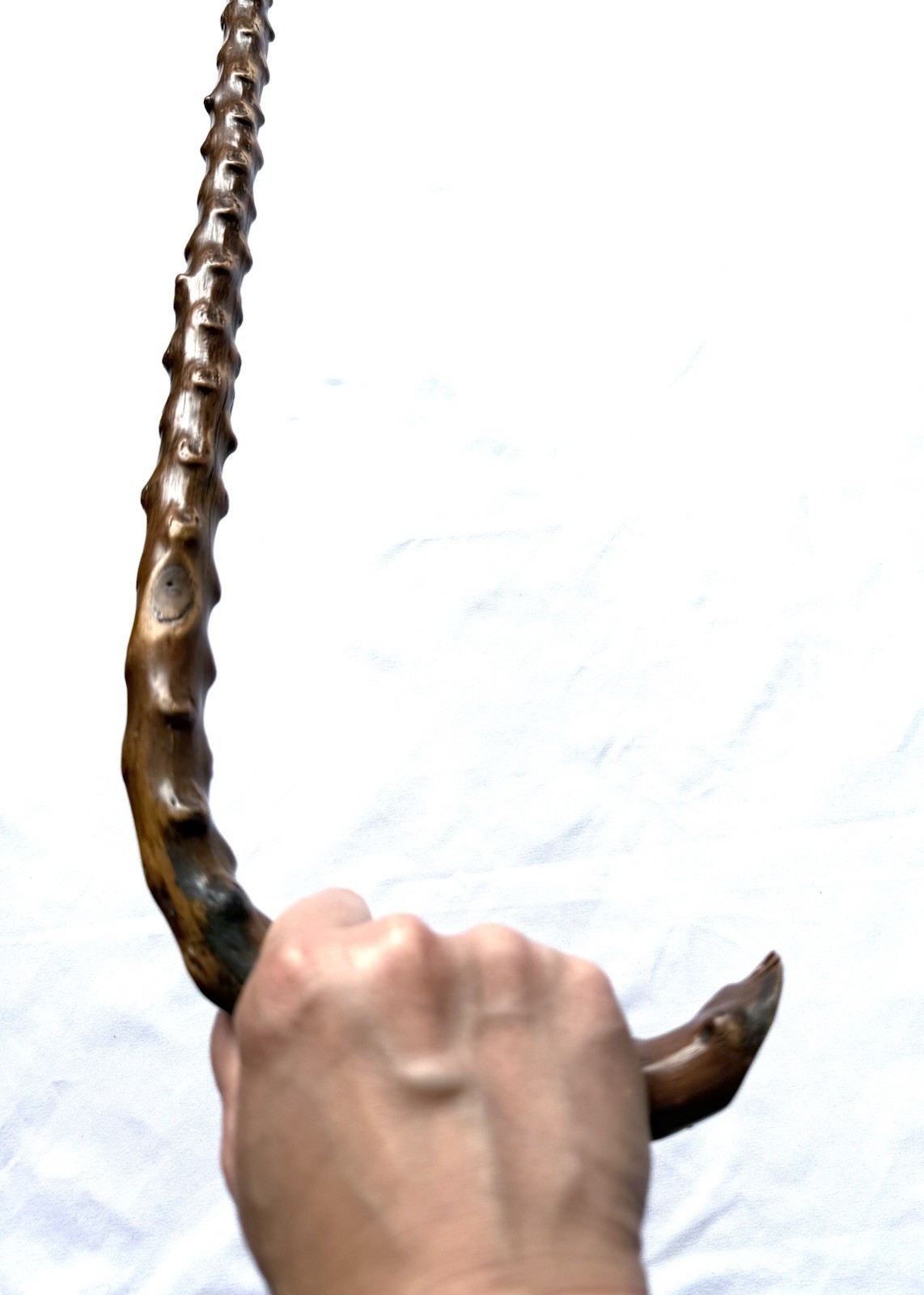 Natural Thornwood Dark Wooden Knotted 36” Walking Stick Cane Light Weight READ