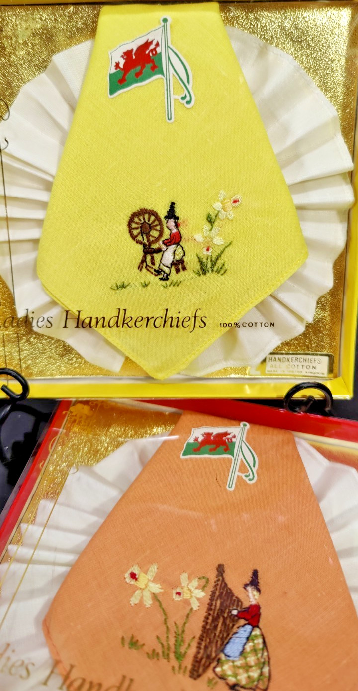 Set of Two Vintage Hand Embroidered 100% Cotton Handkerchiefs United Kingdom