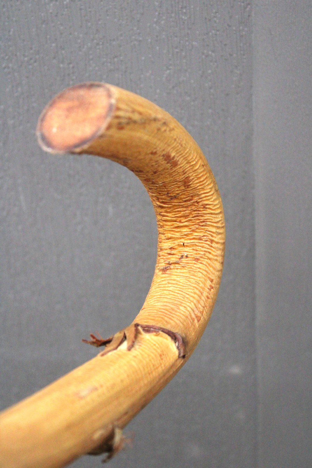 Vintage Cane – Swagger/Knobby – 40 inches – Walking Stick