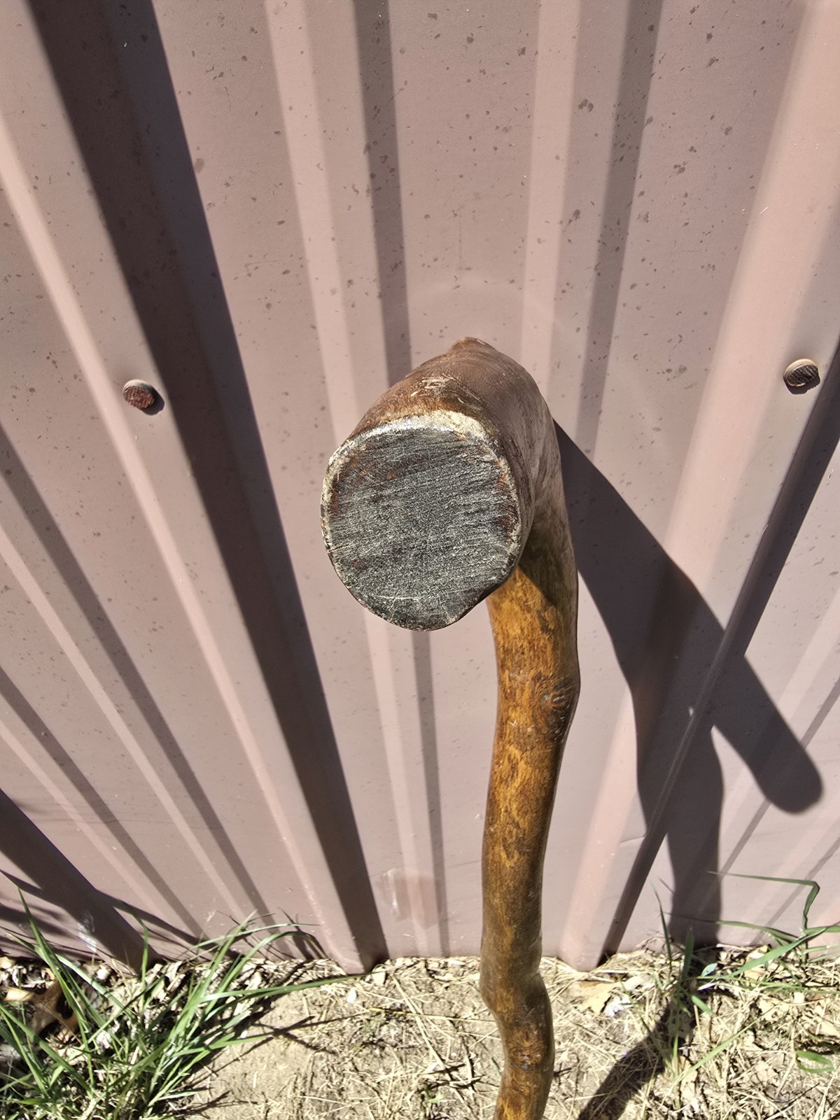 Rustic Natural Wood Walking Cane Crook Handle Walking Stick 33″ Beautiful Grain
