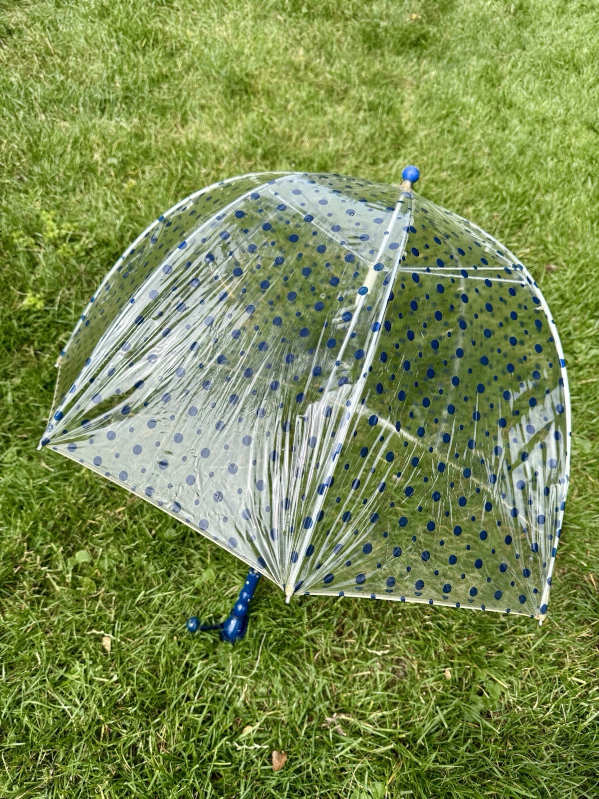 Vintage 60s Mod Clear Blue Polkadot Vinyl Bubble Top Umbrella