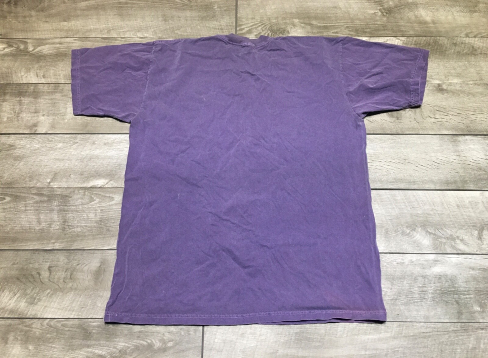 Minnesota Vikings Hall of Fame Randy Moss Tshirt Shirt Size Xlarge 00’s Vintage