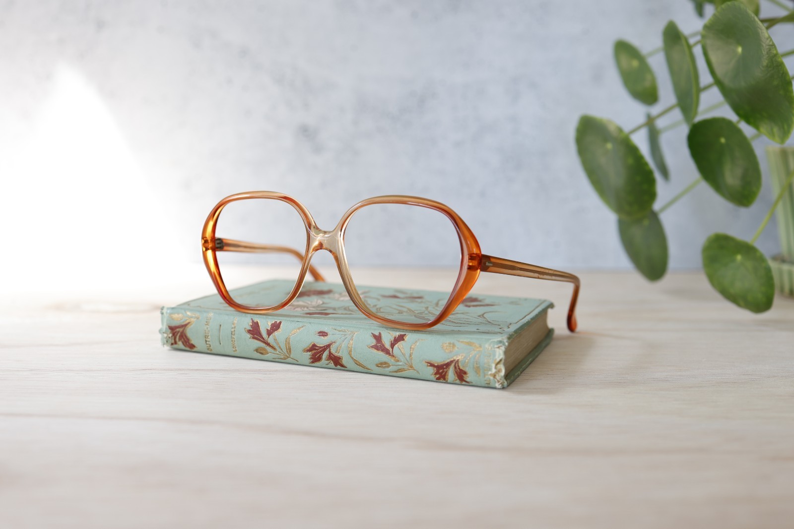 Vintage Diane Von Furstenberg eyeglass 1970s Made In France NOS new old stock