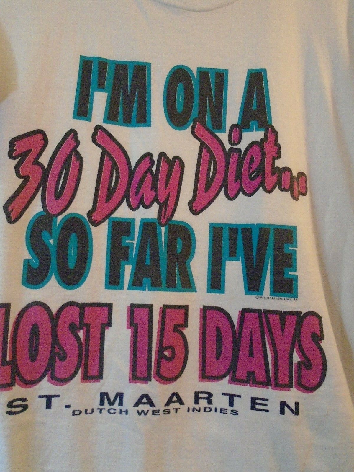Vintage “I’m On A 30 Day Diet, So Far I have Lost 15 Days” T-Shirt 1990’s