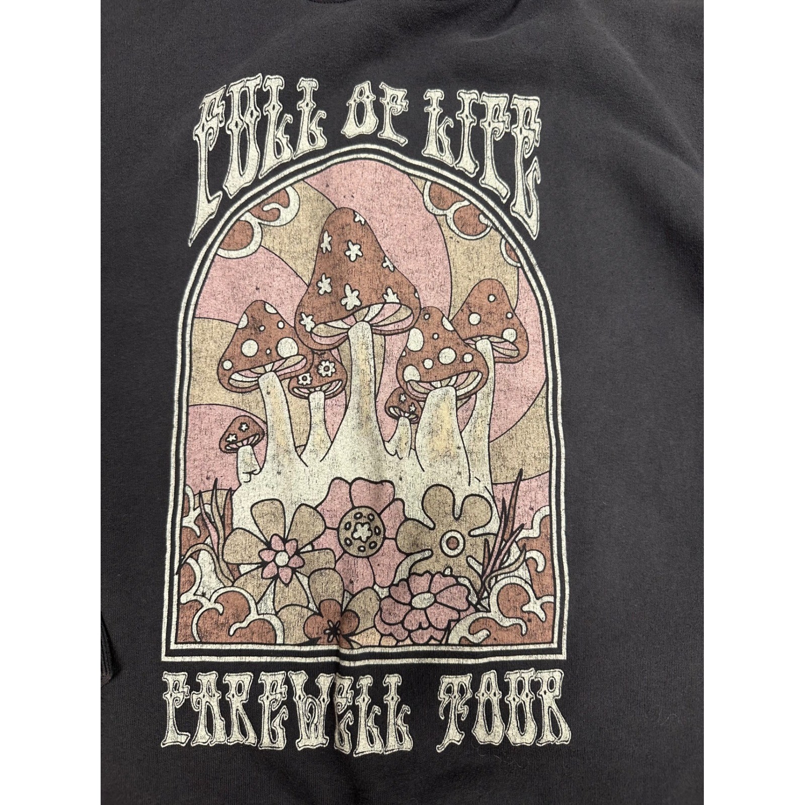 Hollister Retro Mushroom “Full of Life” Farewell Tour Graphic Sweatshirt – Small