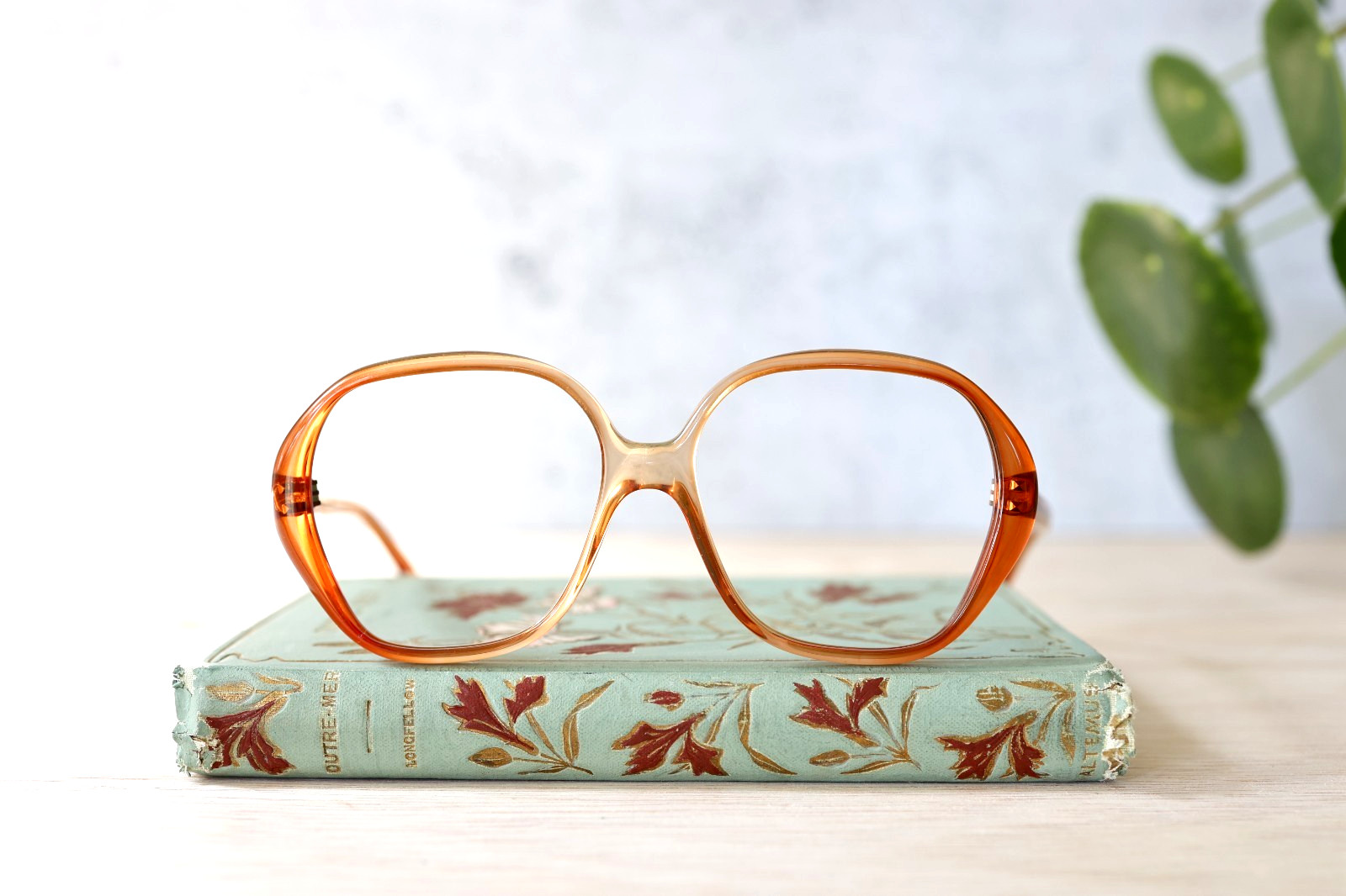 Vintage Diane Von Furstenberg eyeglass 1970s Made In France NOS new old stock