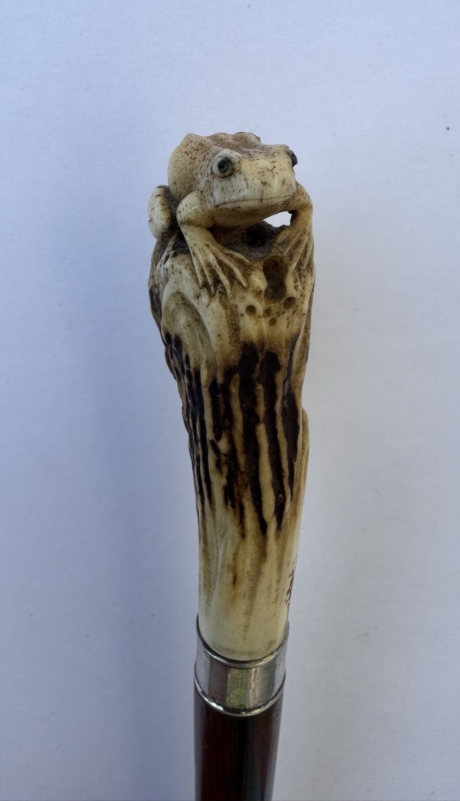 FINE MEIJI PERIOD JAPANESE HAND CARVED FROG ANTIQUE ROSEWOOD WALKING CANE STICK