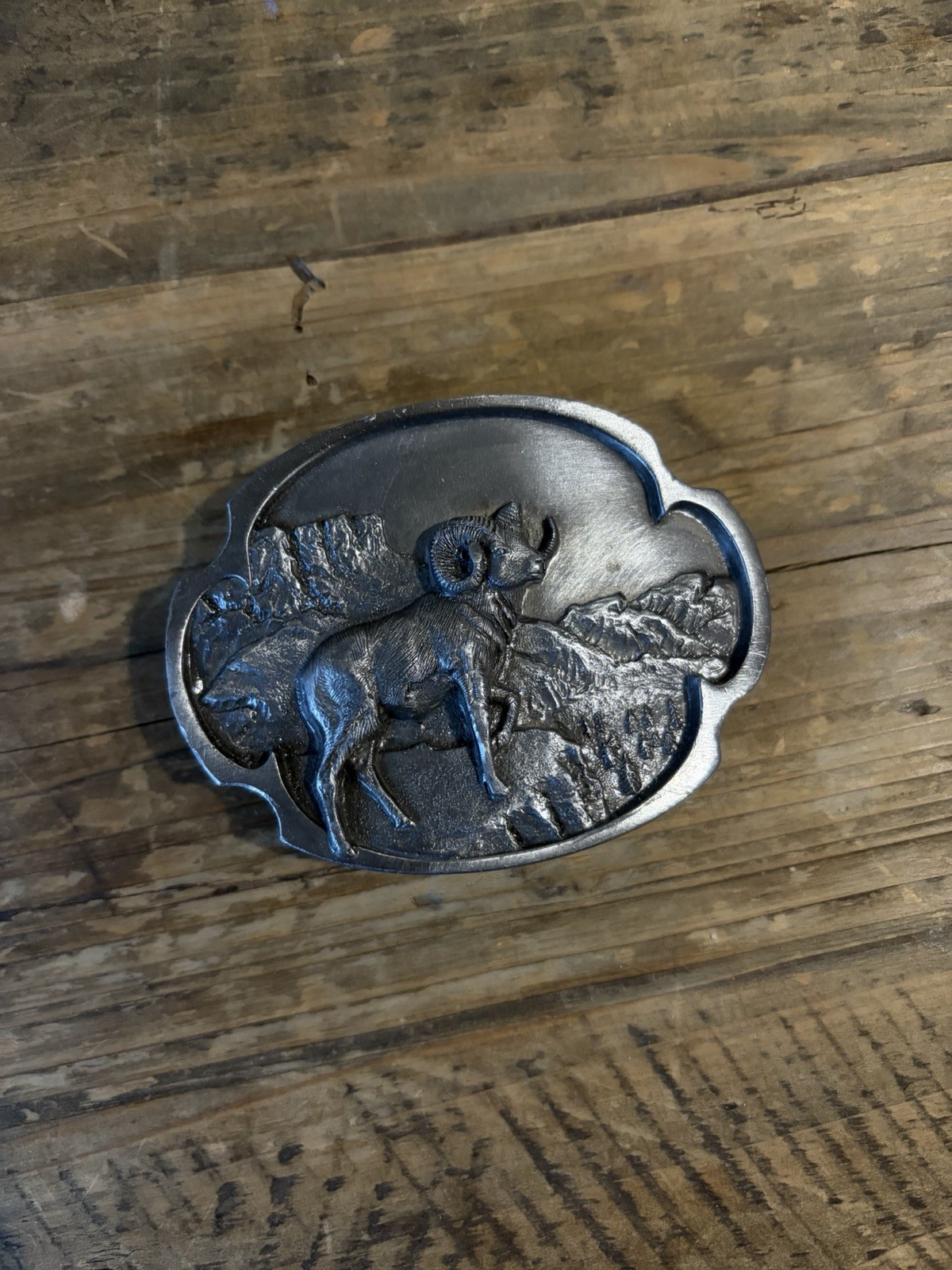 1984 Siskiyou bighorn sheep belt buckle