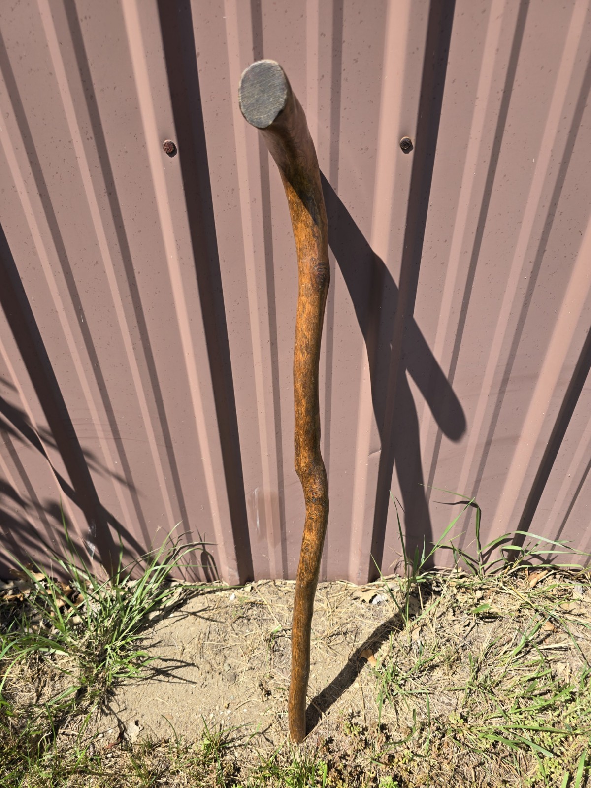 Rustic Natural Wood Walking Cane Crook Handle Walking Stick 33″ Beautiful Grain